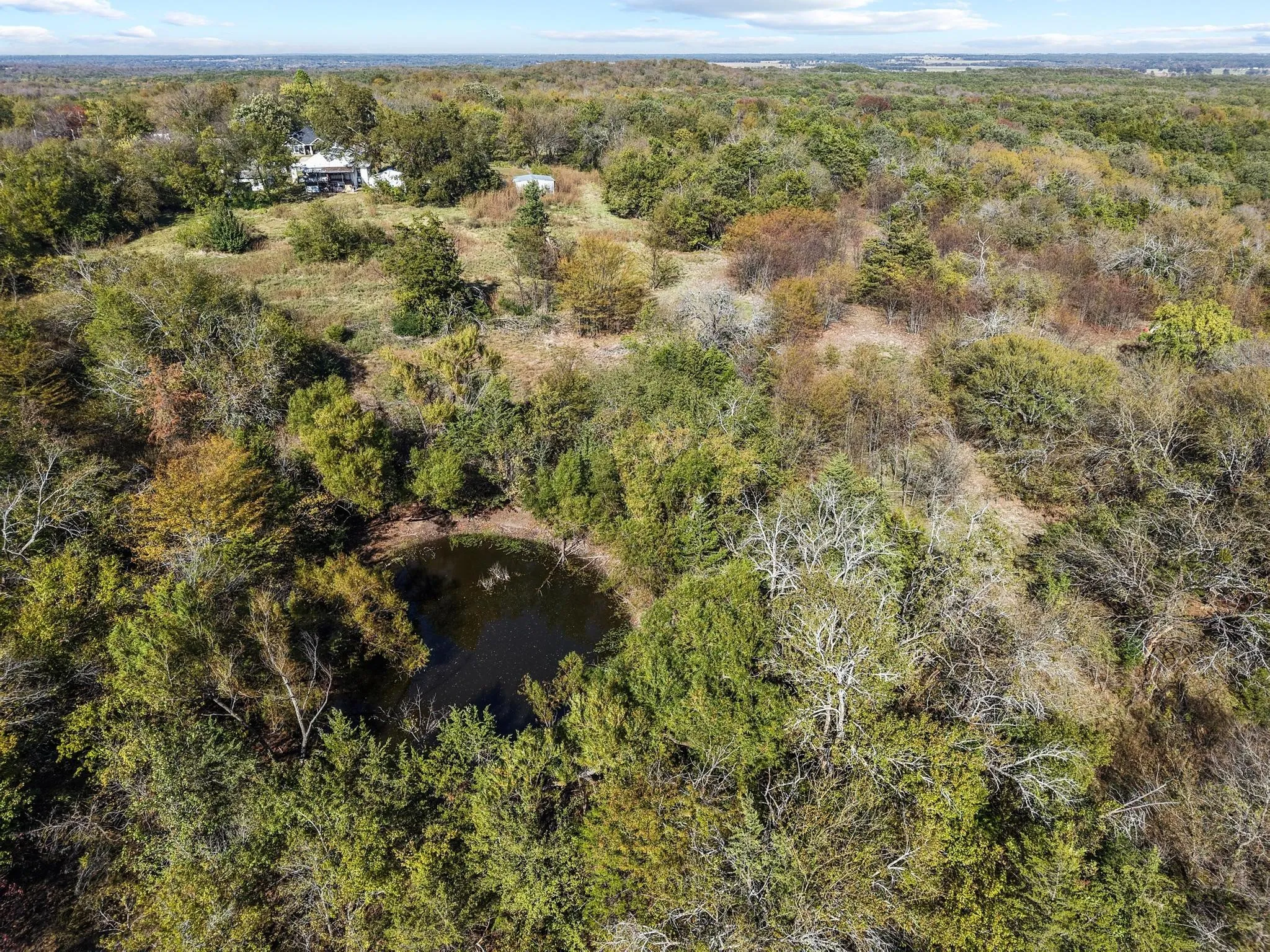 Expansive wooded acreage featuring a natural pond and distant structures