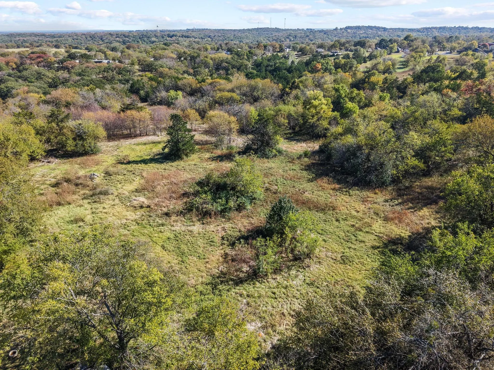 Expansive undeveloped land featuring natural vegetation and diverse tree coverage