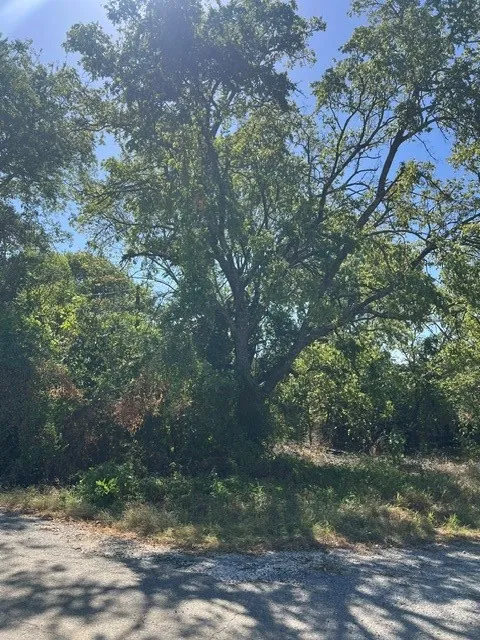 Unimproved Land For Sale in Grayson County , 276 Castle Drive, Pottsboro, Texas 75076, 0, 0, Garage spaces, 0 Sqft, built in 0, mls#21387635, Real Estate Agent in Pottsboro, Homes For Sale in Grayson county, Homes For Sale in Pottsboro, Realtor in Pottsboro Texas, Real Estate Brokerage Independent Realty Texas, Luminita Cordes Realtor