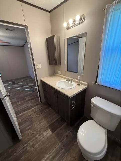 Bathroom featuring dark wood-style flooring, vanity, and a textured ceiling