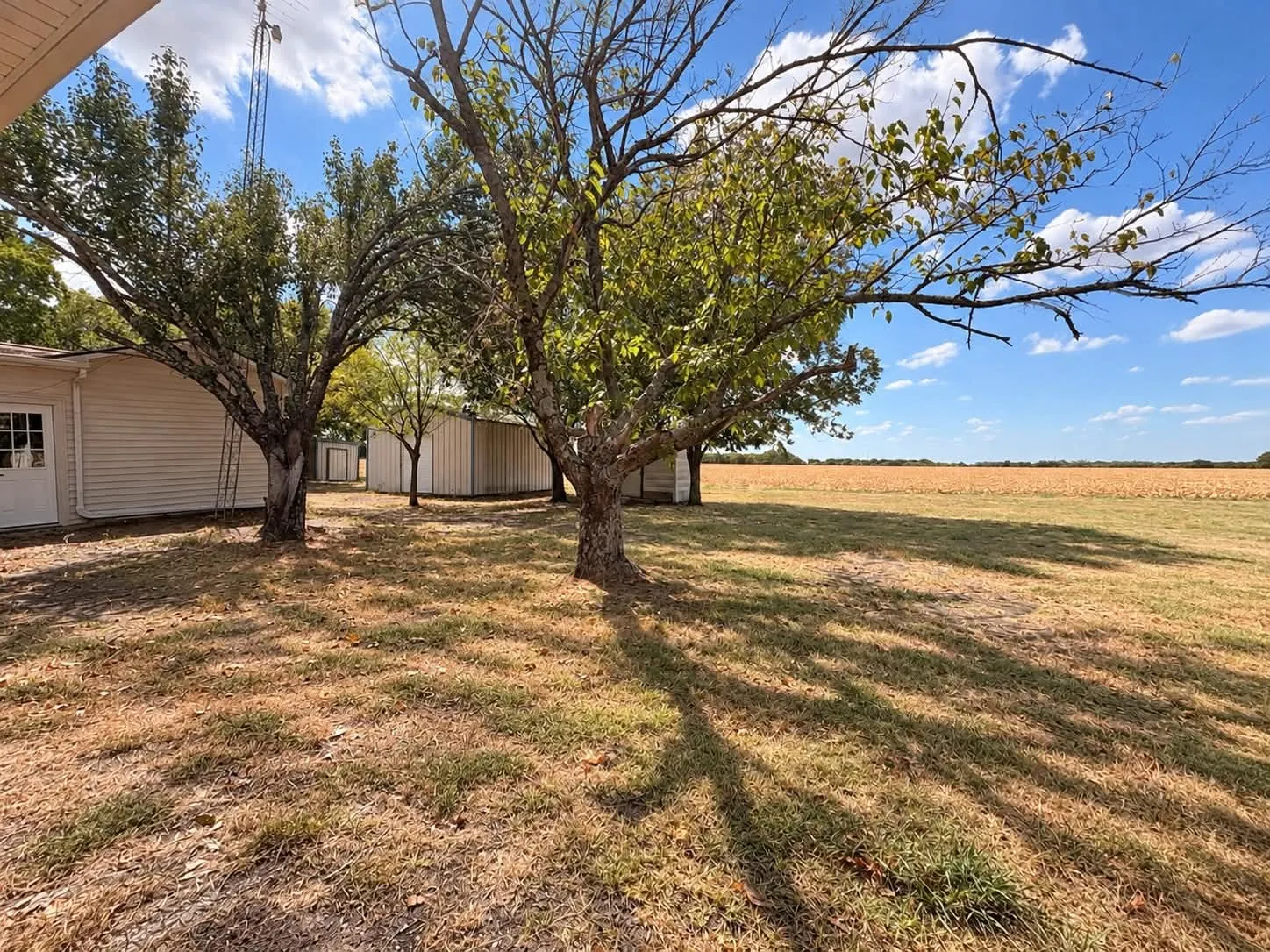 Backs up to maintained farmland. No neighbors behind you!