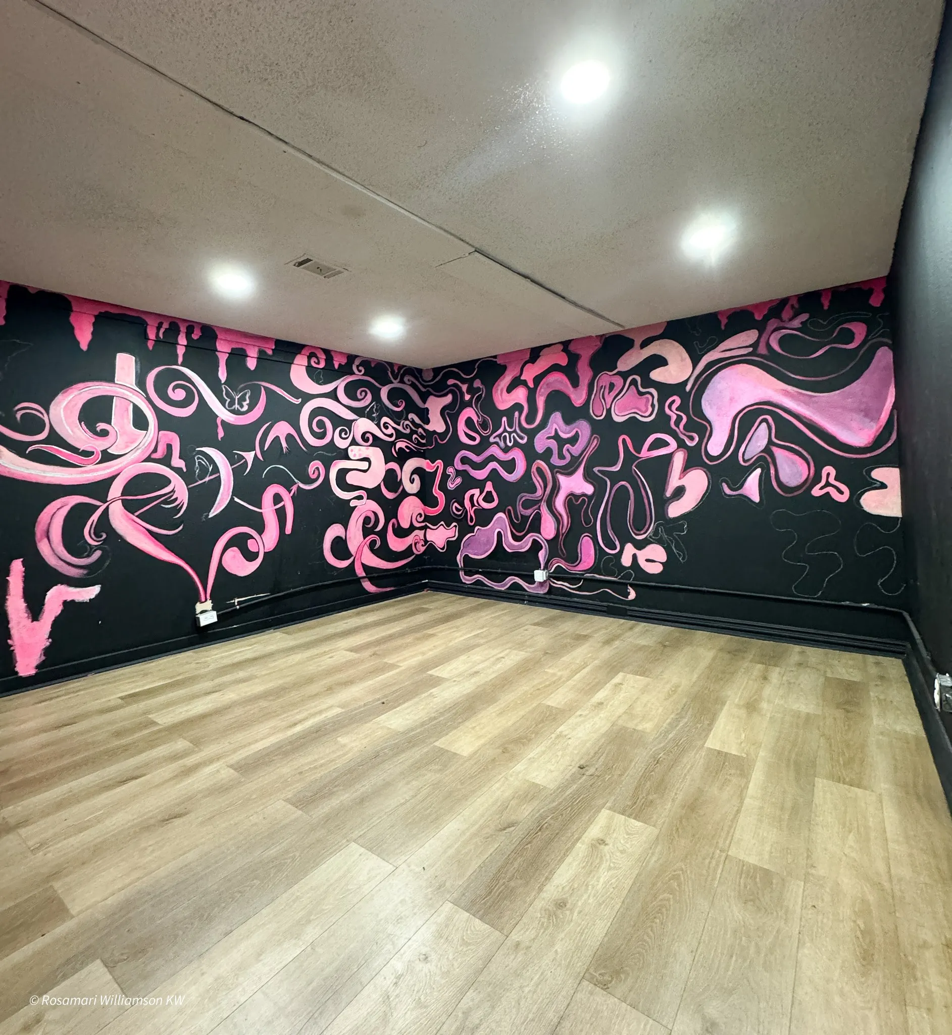 Suite 5