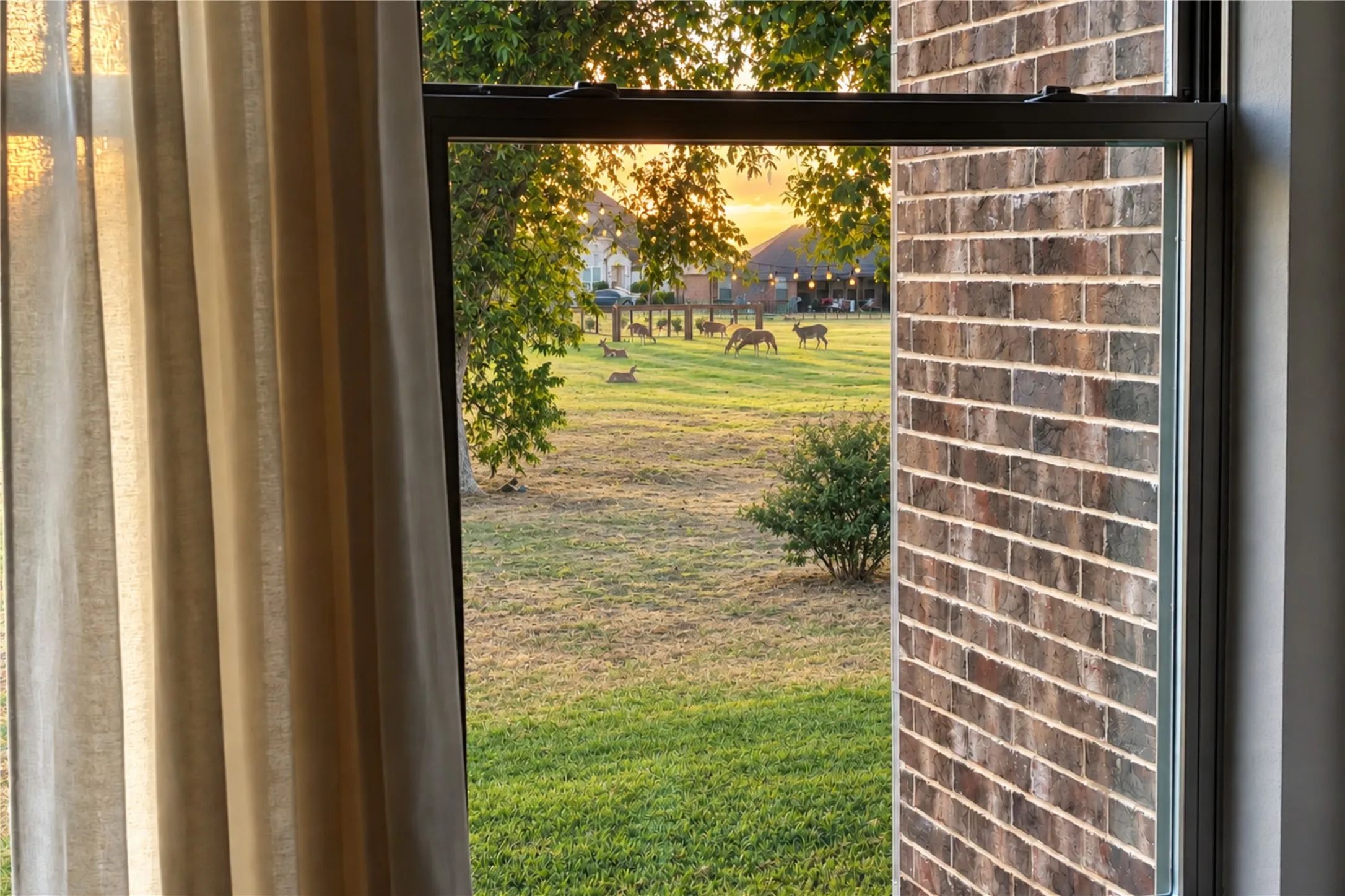 Intentionally unfenced, the one acre setting allows deer to wander through, creating a rare connection between home, land, and nature.