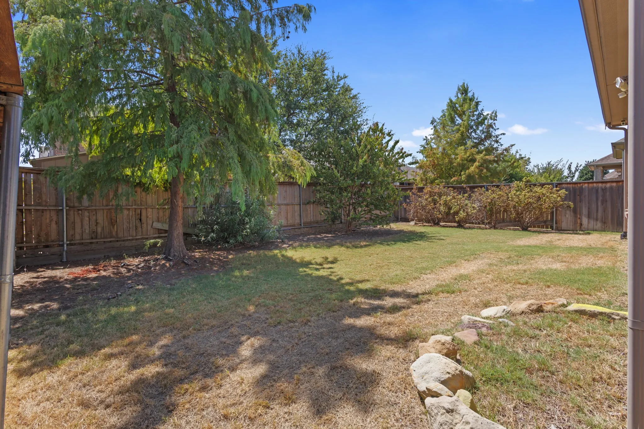 Expansive backyard with a wood privacy fence, mature trees, and a decorative rock border