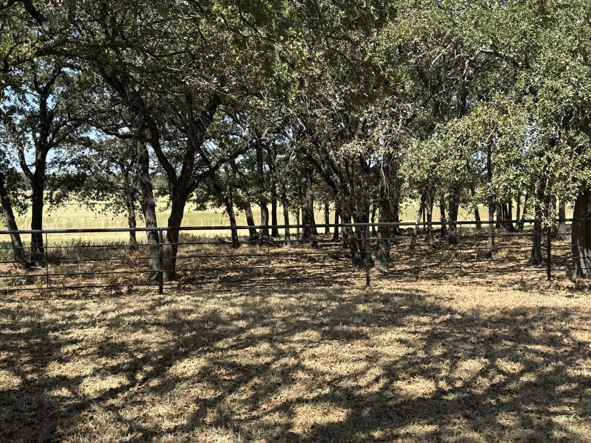 Mobile Home For Sale in Wise County , 986 County Road 1785, Sunset, Texas 76270, 3 Bedroom, 2 Bathroom, 4 Garage spaces, 1,440 Sqft, built in 1992, mls#21387782, Real Estate Agent in Sunset, Homes For Sale in Wise county, Homes For Sale in Sunset, Realtor in Sunset Texas, Real Estate Brokerage Independent Realty Texas, Luminita Cordes Realtor