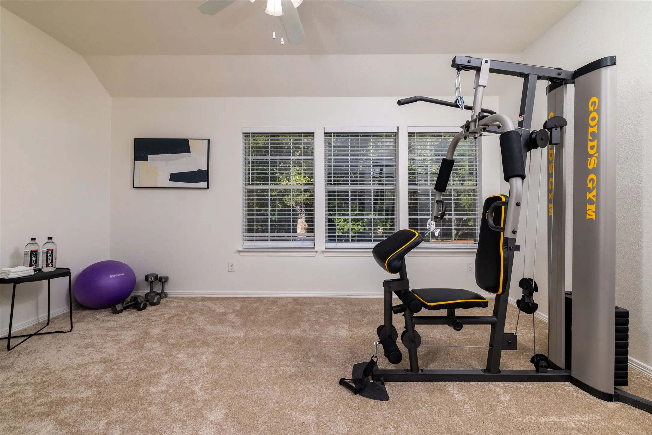 Carpeted room featuring a vaulted ceiling, ceiling fan, and three windows with blinds