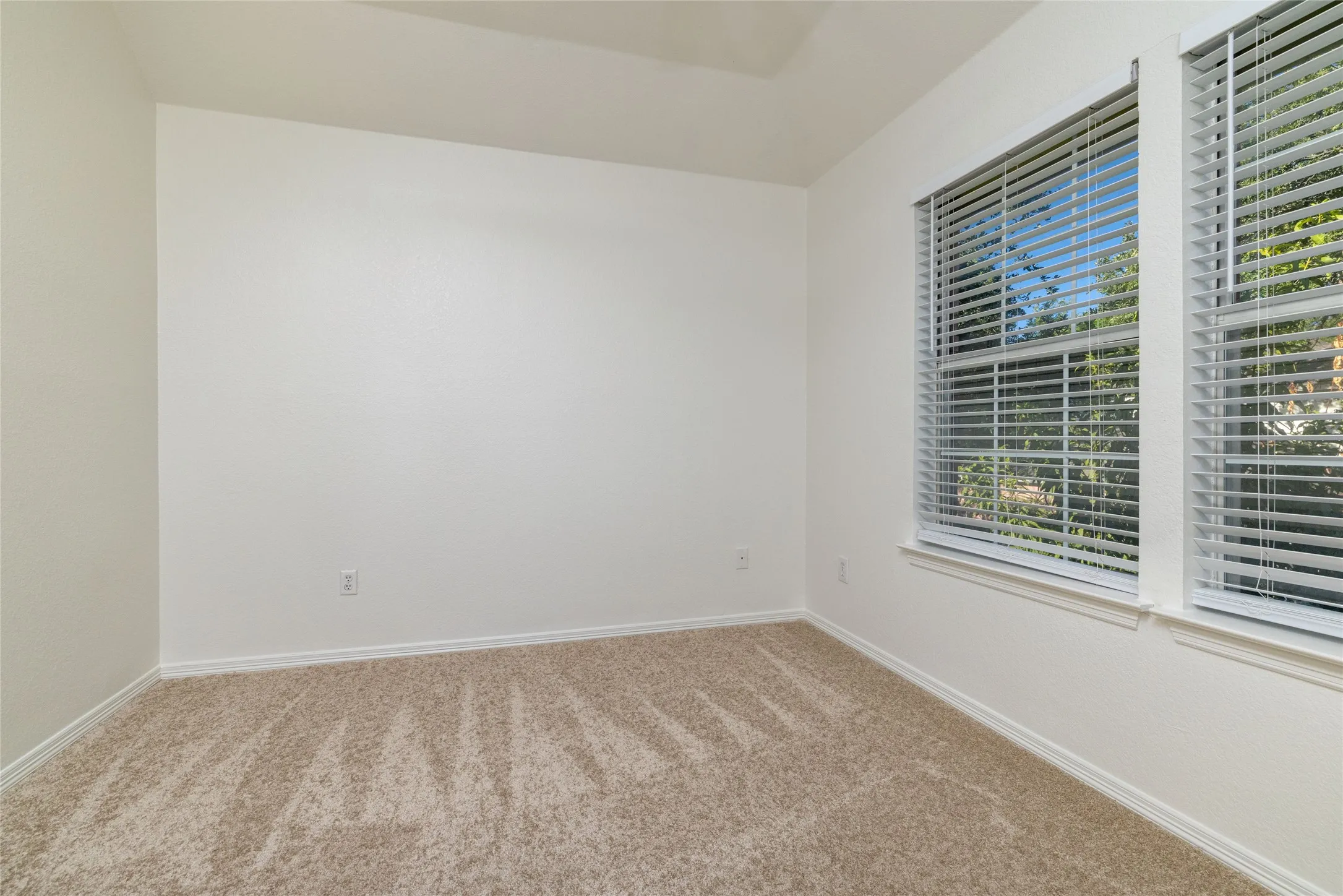 Neutral wall tones, textured carpeting, and dual windows with horizontal blinds