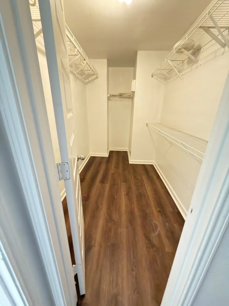Walk-in closet featuring wood-finish flooring and multiple levels of wire shelving