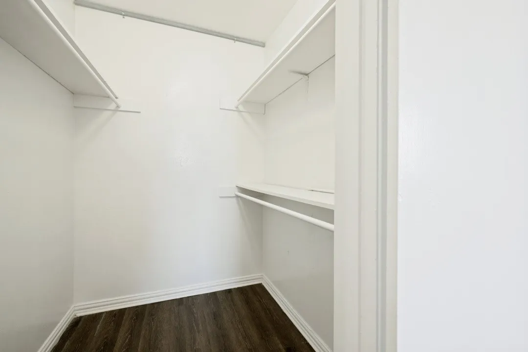 Walk-in closet with wood-finish flooring, white walls, and built-in shelving