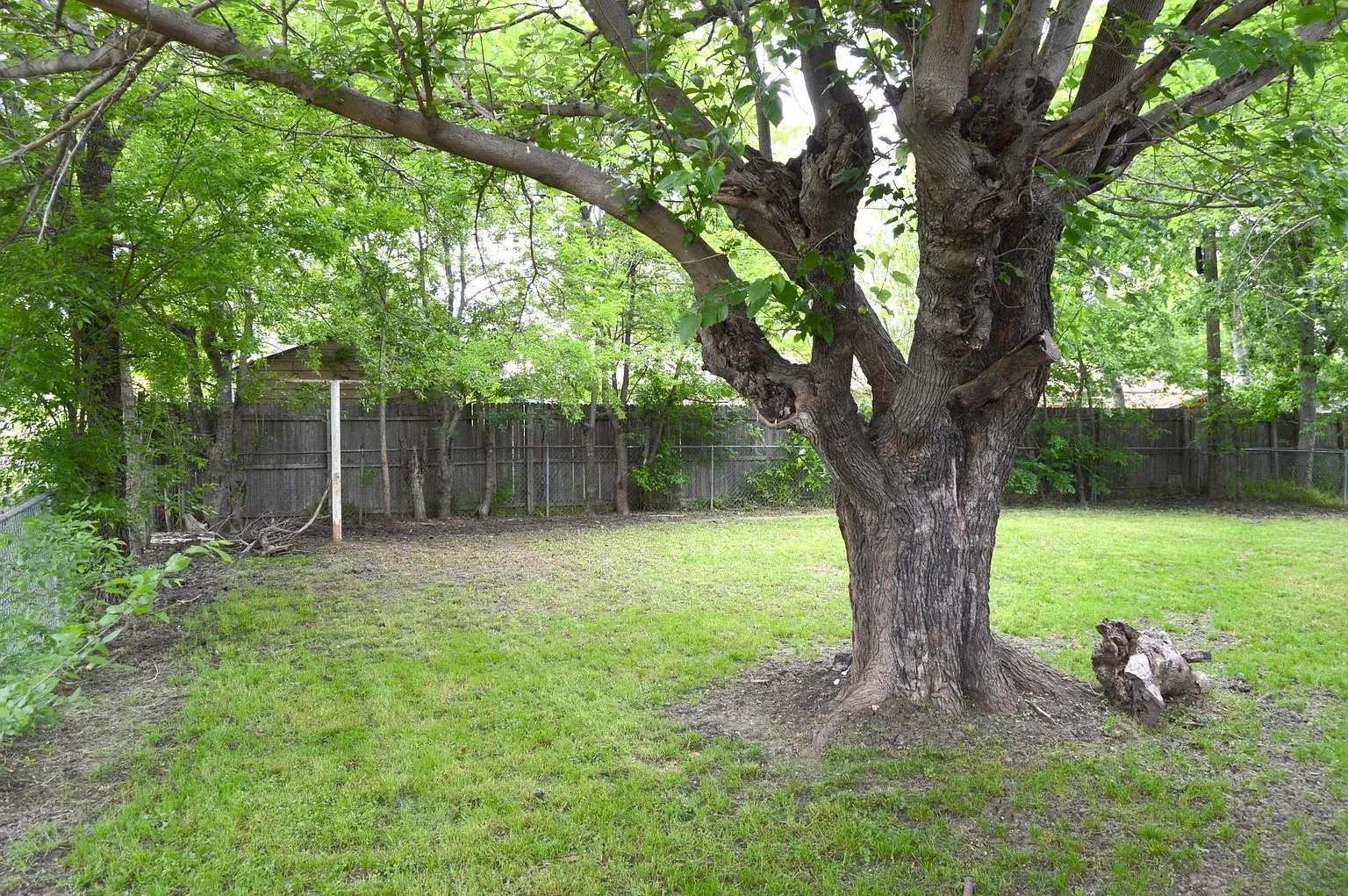 Single Family Residence For Rent in Tarrant County , 5729 Emerson Drive, Watauga, Texas 76148, 3 Bedroom, 2 Bathroom, 1 Garage spaces, 1,029 Sqft, built in 1963, mls#21387839, Real Estate Agent in Watauga, Homes For Rent in Tarrant county, Homes For Rent in Watauga, Realtor in Watauga Texas, Real Estate Brokerage Independent Realty Texas, Luminita Cordes Realtor