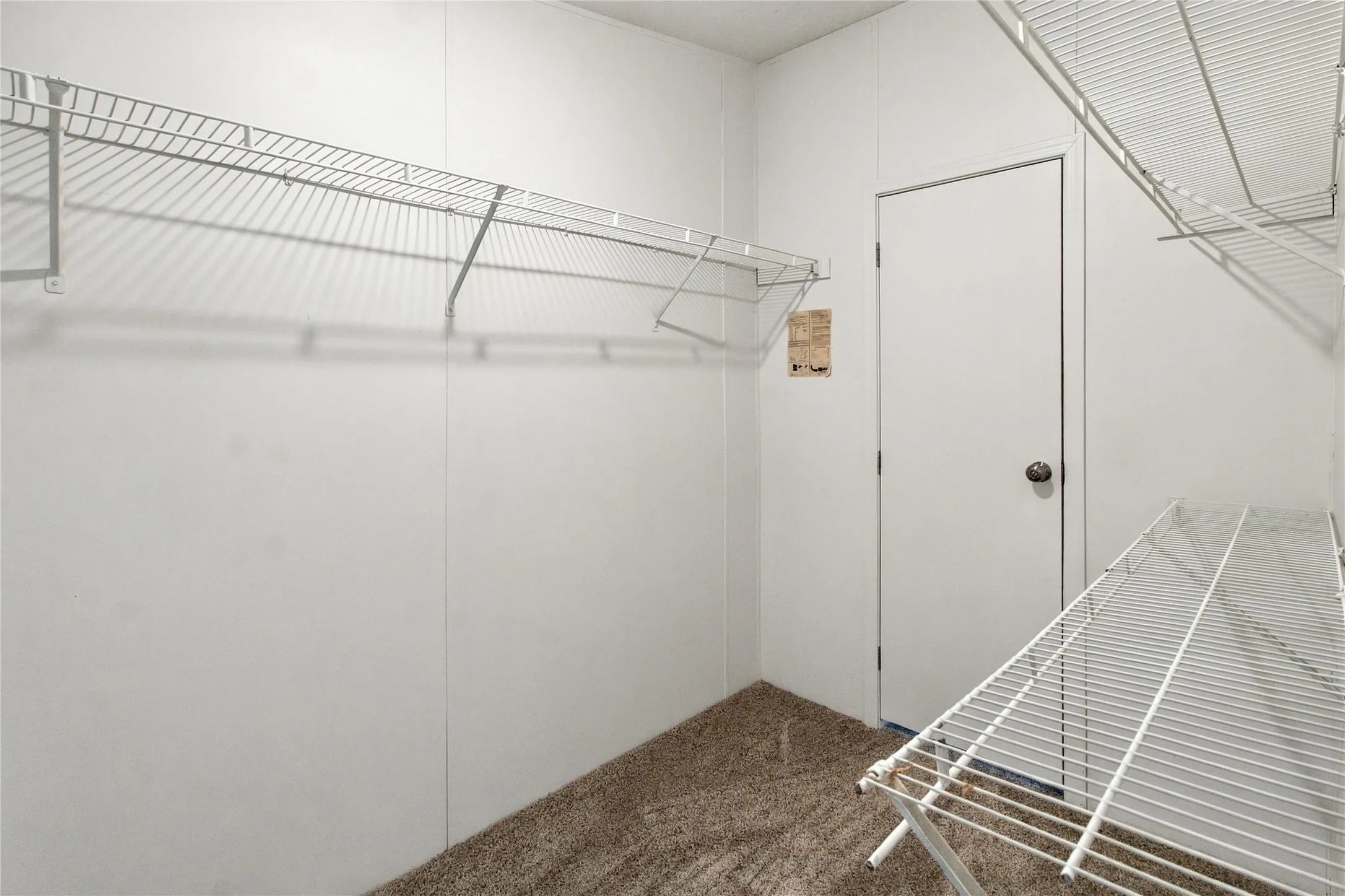 Walk-in closet with carpet flooring, white wire shelving, and a white interior door