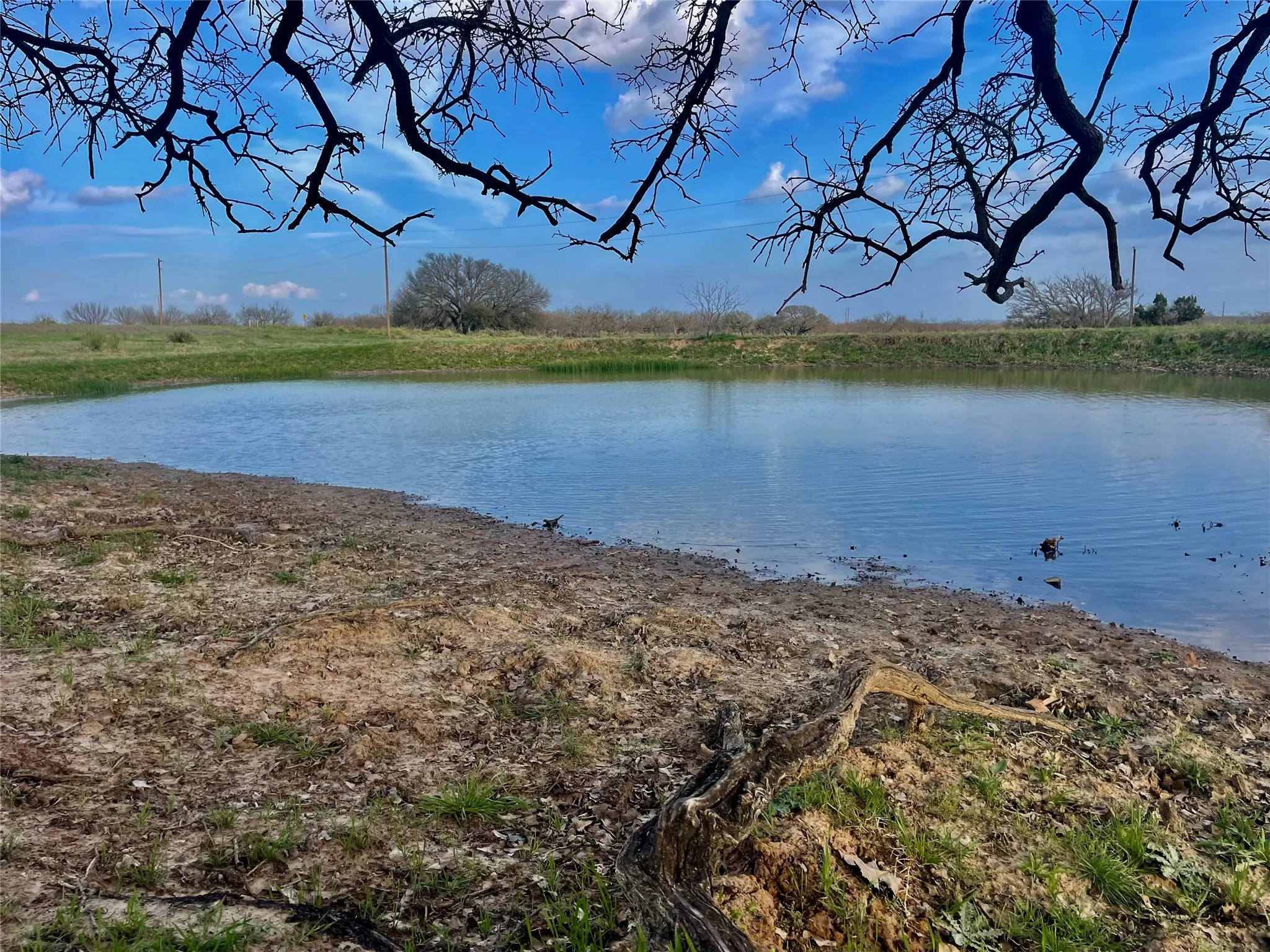 Unimproved Land For Sale in Comanche County , 000 HWY 590, Comanche, Texas 76442, 0, 0, Garage spaces, 0 Sqft, built in 0, mls#21387846, Real Estate Agent in Comanche, Homes For Sale in Comanche county, Homes For Sale in Comanche, Realtor in Comanche Texas, Real Estate Brokerage Independent Realty Texas, Luminita Cordes Realtor