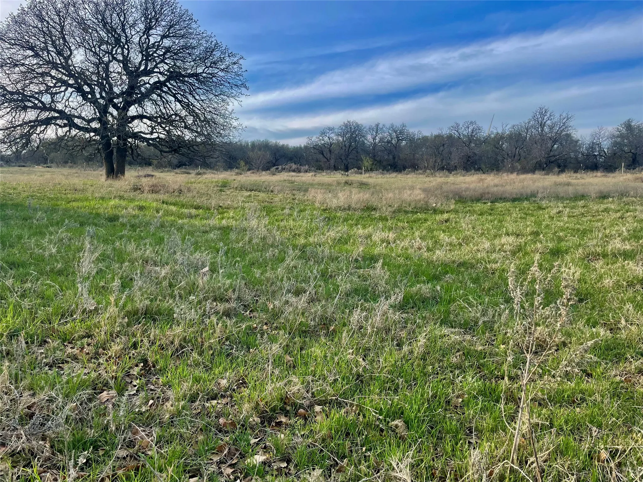 Unimproved Land For Sale in Comanche County , 000 HWY 590, Comanche, Texas 76442, 0, 0, Garage spaces, 0 Sqft, built in 0, mls#21387846, Real Estate Agent in Comanche, Homes For Sale in Comanche county, Homes For Sale in Comanche, Realtor in Comanche Texas, Real Estate Brokerage Independent Realty Texas, Luminita Cordes Realtor