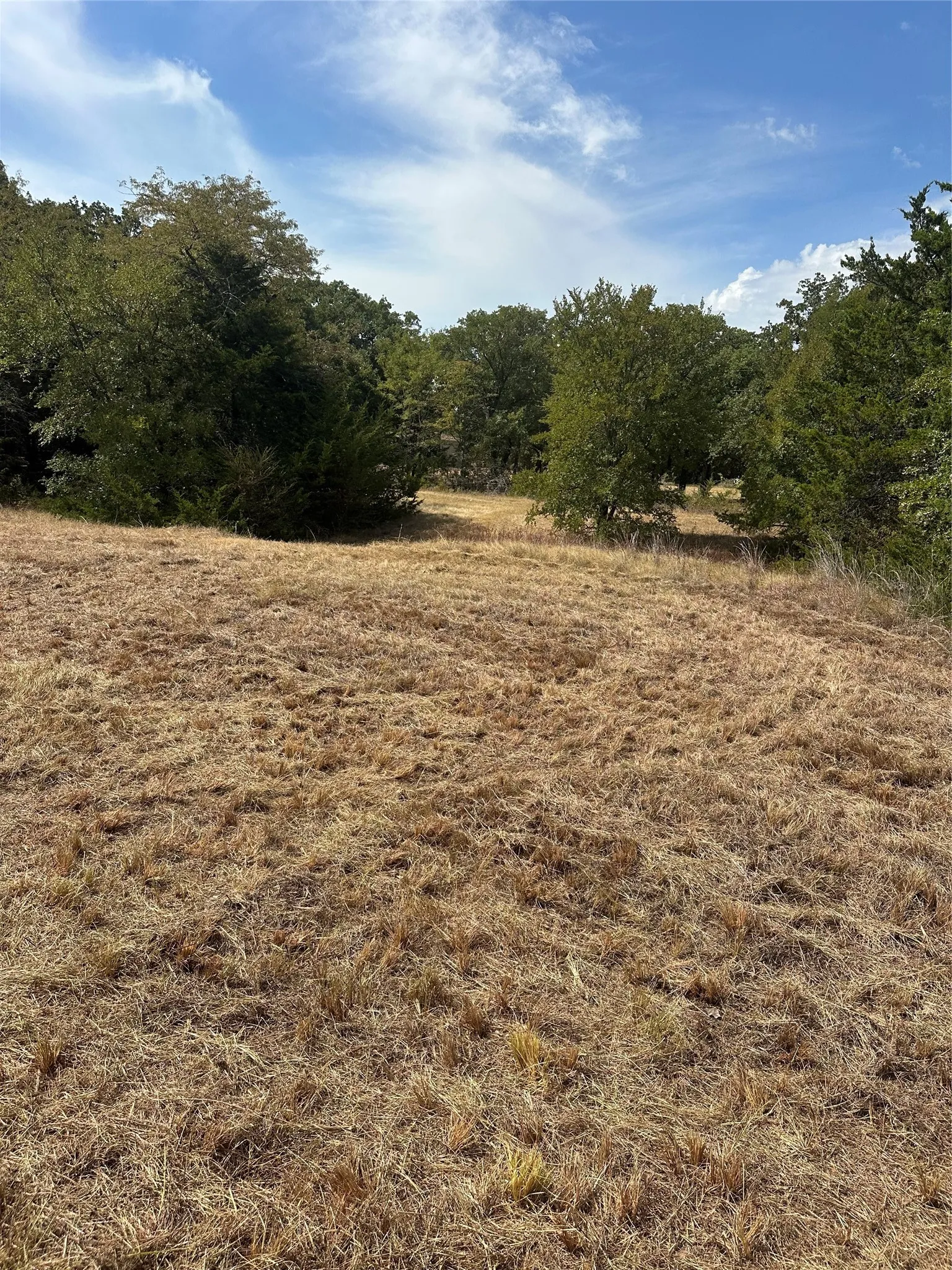 Improved Land For Sale in Grayson County , 565 W Hughes Street, Collinsville, Texas 76233, 0, 0, Garage spaces, 0 Sqft, built in 0, mls#21387404, Real Estate Agent in Collinsville, Homes For Sale in Grayson county, Homes For Sale in Collinsville, Realtor in Collinsville Texas, Real Estate Brokerage Independent Realty Texas, Luminita Cordes Realtor