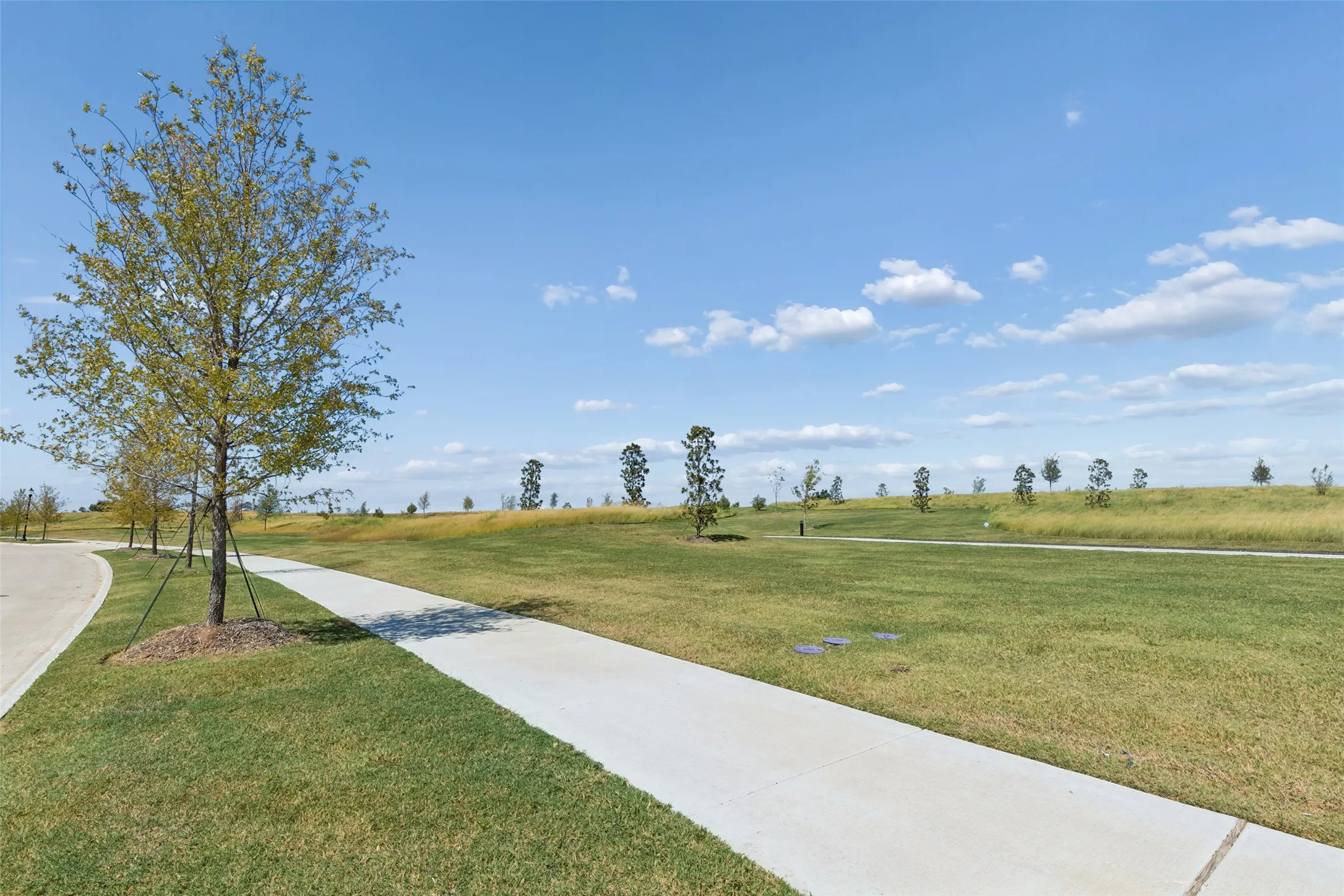 Walking Paths Across Front Yard