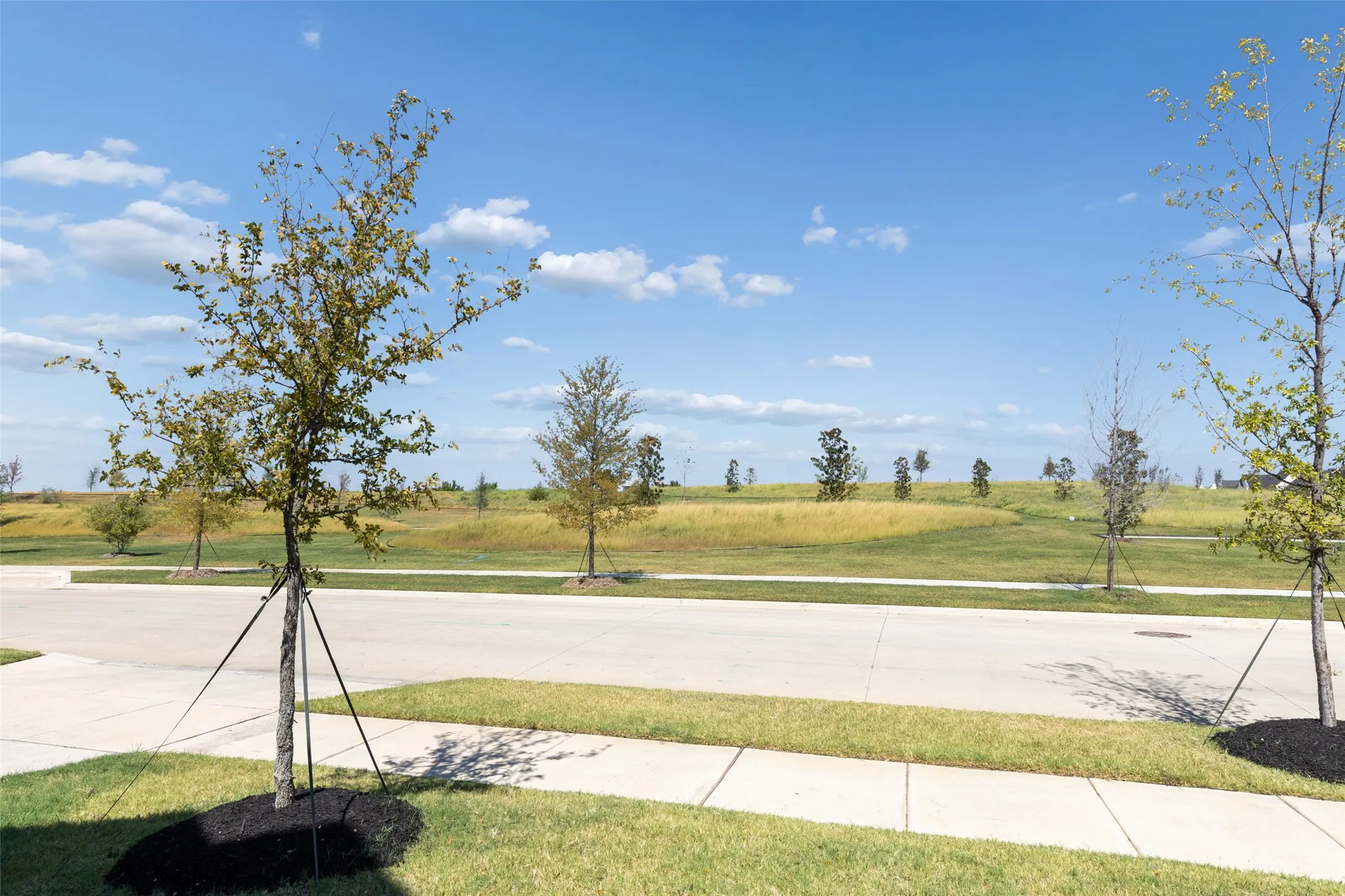 Front Yard View