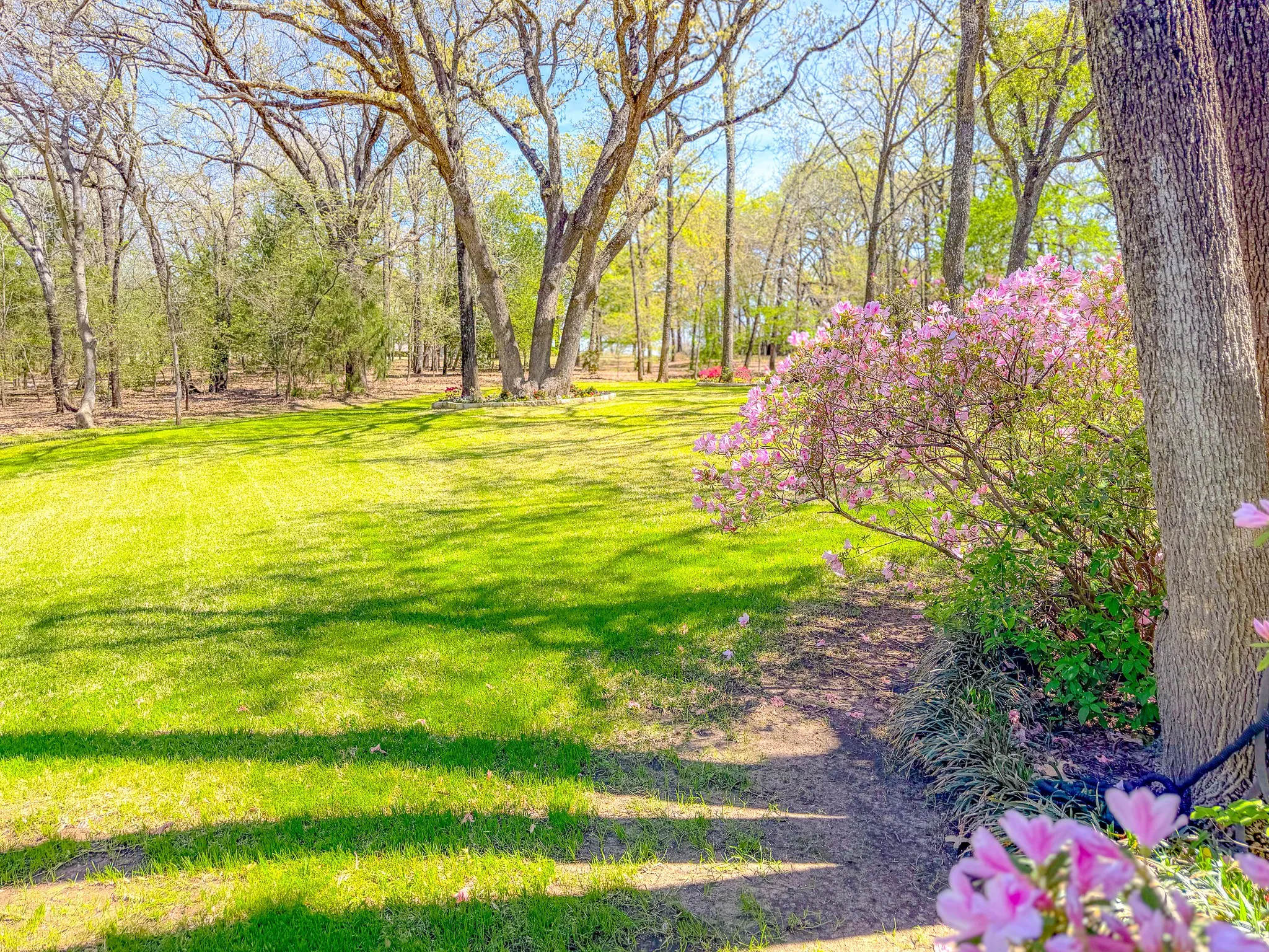 Single Family Residence For Sale in Navarro County , 305 County Road 0008, Corsicana, Texas 75110, 3 Bedroom, 3 Bathroom, 3 Garage spaces, 4,442 Sqft, built in 1987, mls#21384747, Real Estate Agent in Corsicana, Homes For Sale in Navarro county, Homes For Sale in Corsicana, Realtor in Corsicana Texas, Real Estate Brokerage Independent Realty Texas, Luminita Cordes Realtor