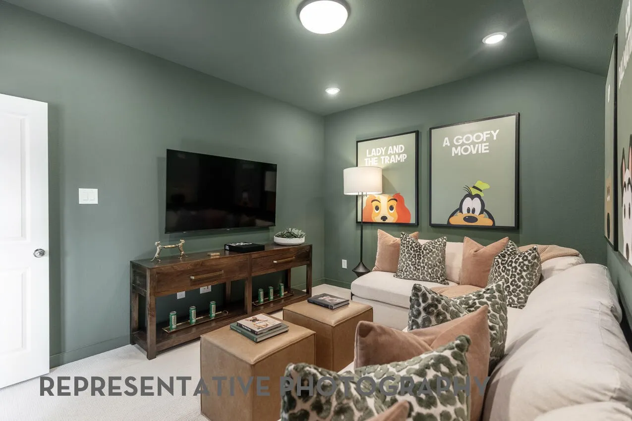 Entertainment Room