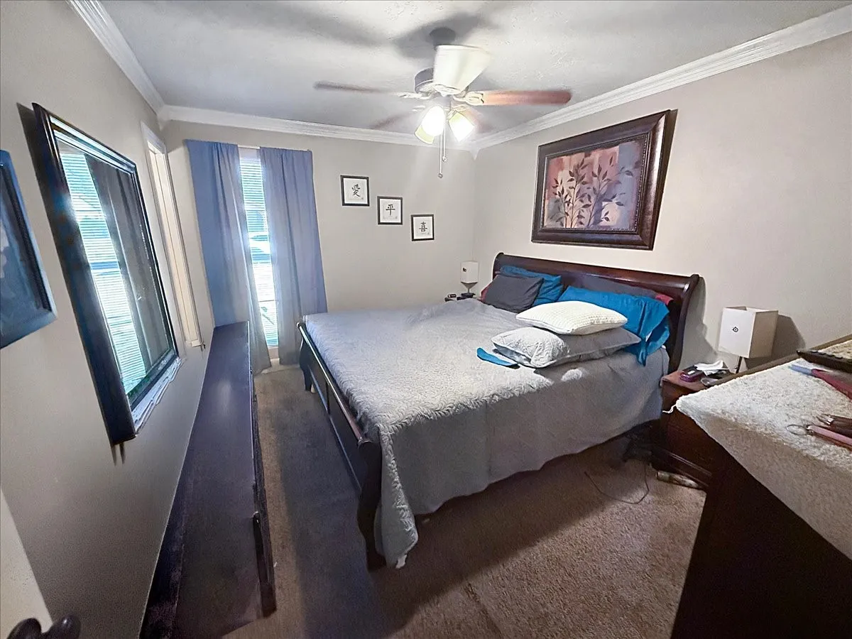 Primary bedroom alternate angle displaying bright window light, crown molding trim, and carpeted flooring.