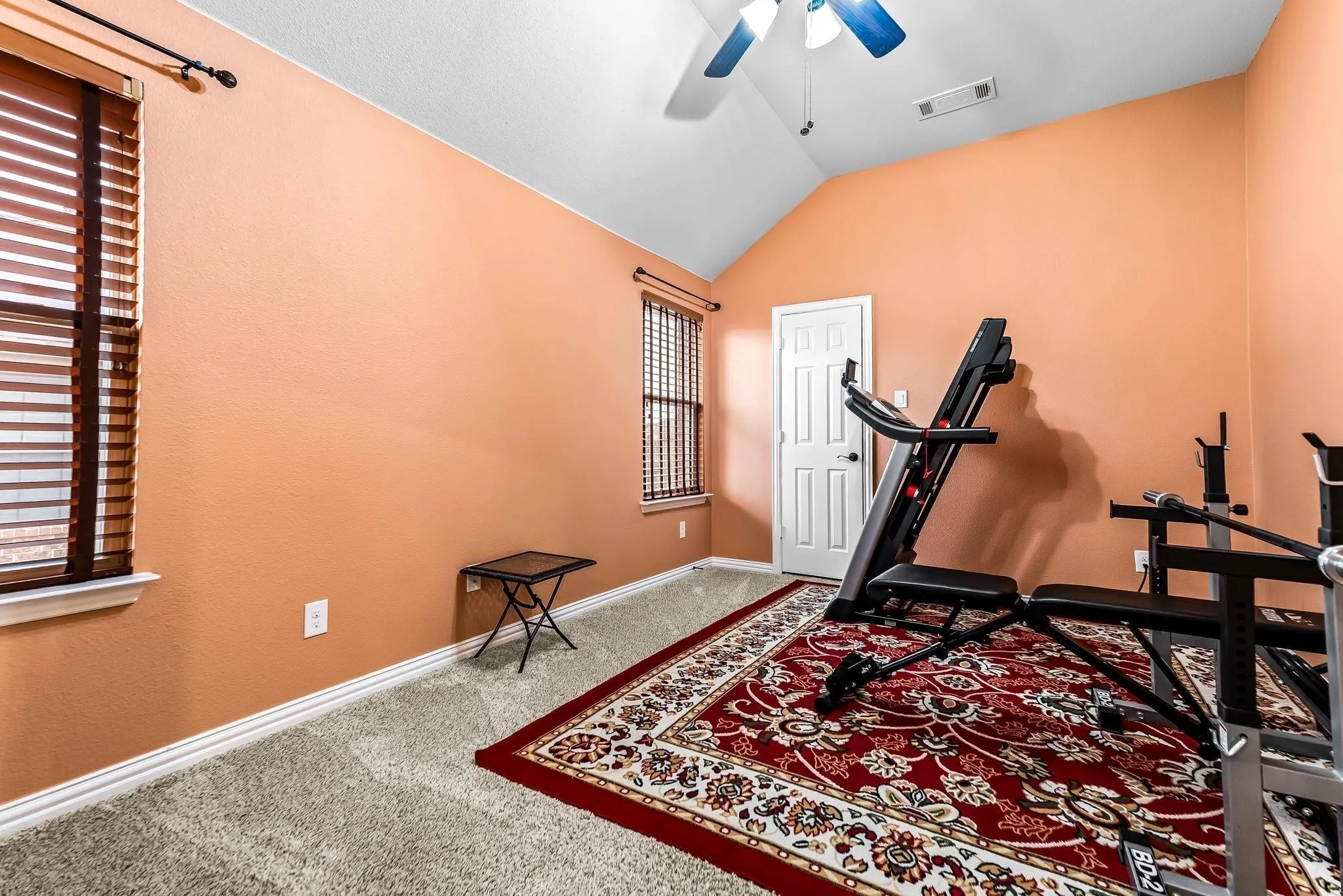Vaulted ceiling with ceiling fan, two windows with horizontal blinds, neutral carpet, and a paneled interior door