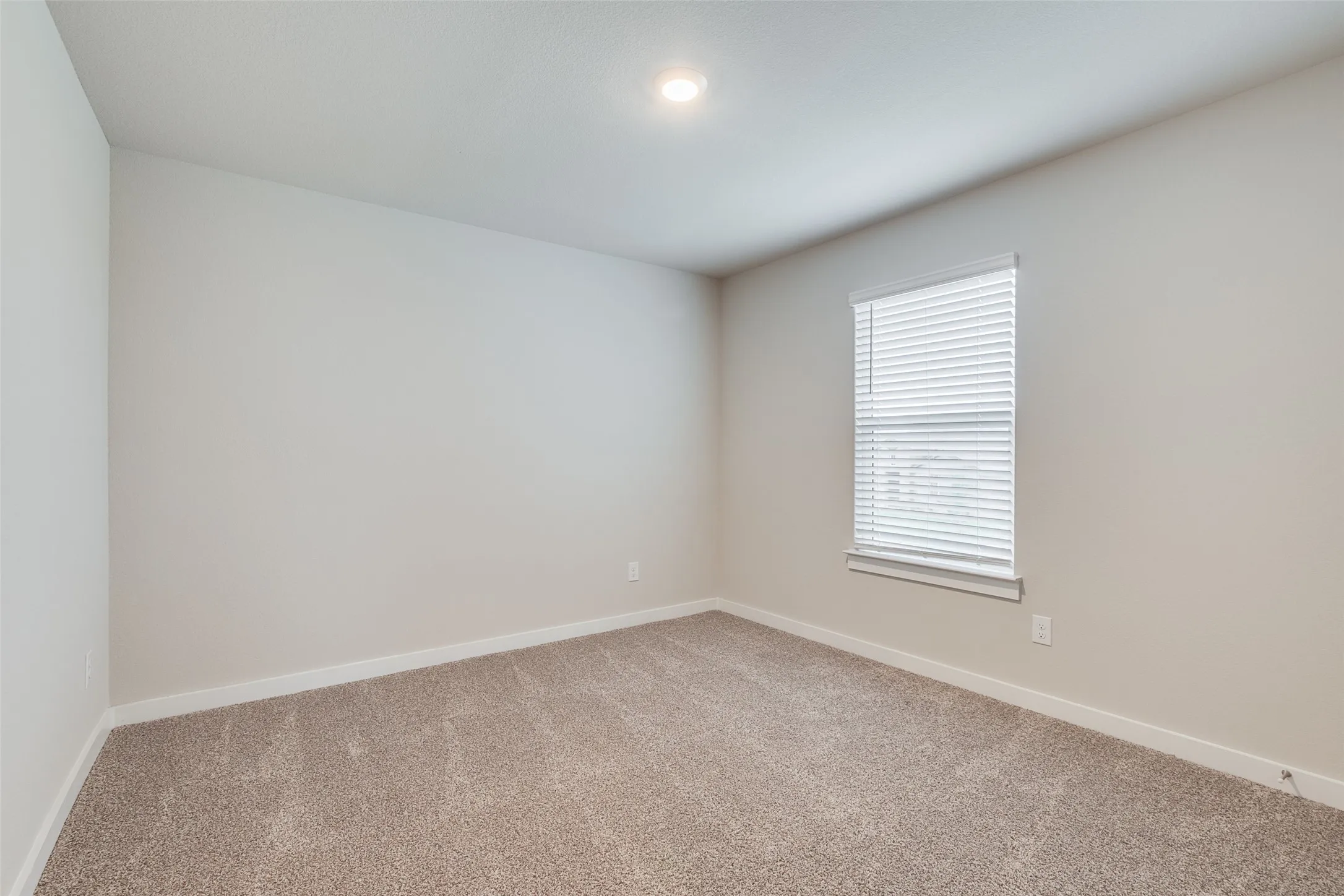 Recessed ceiling light, neutral wall paint, single window with blinds, and carpeting