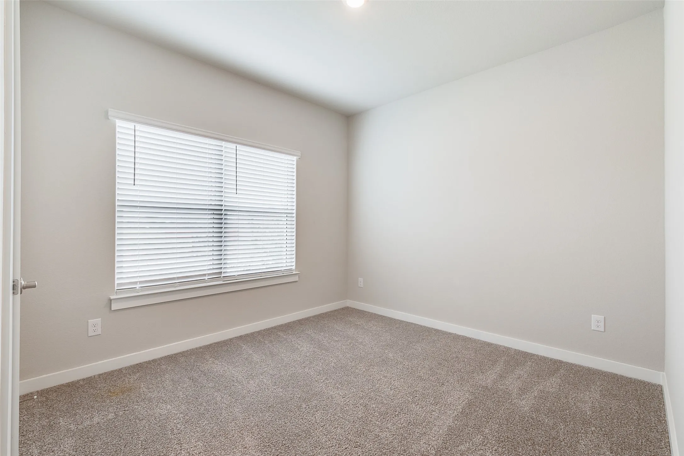 Neutral wall paint, window with blinds, and carpeting