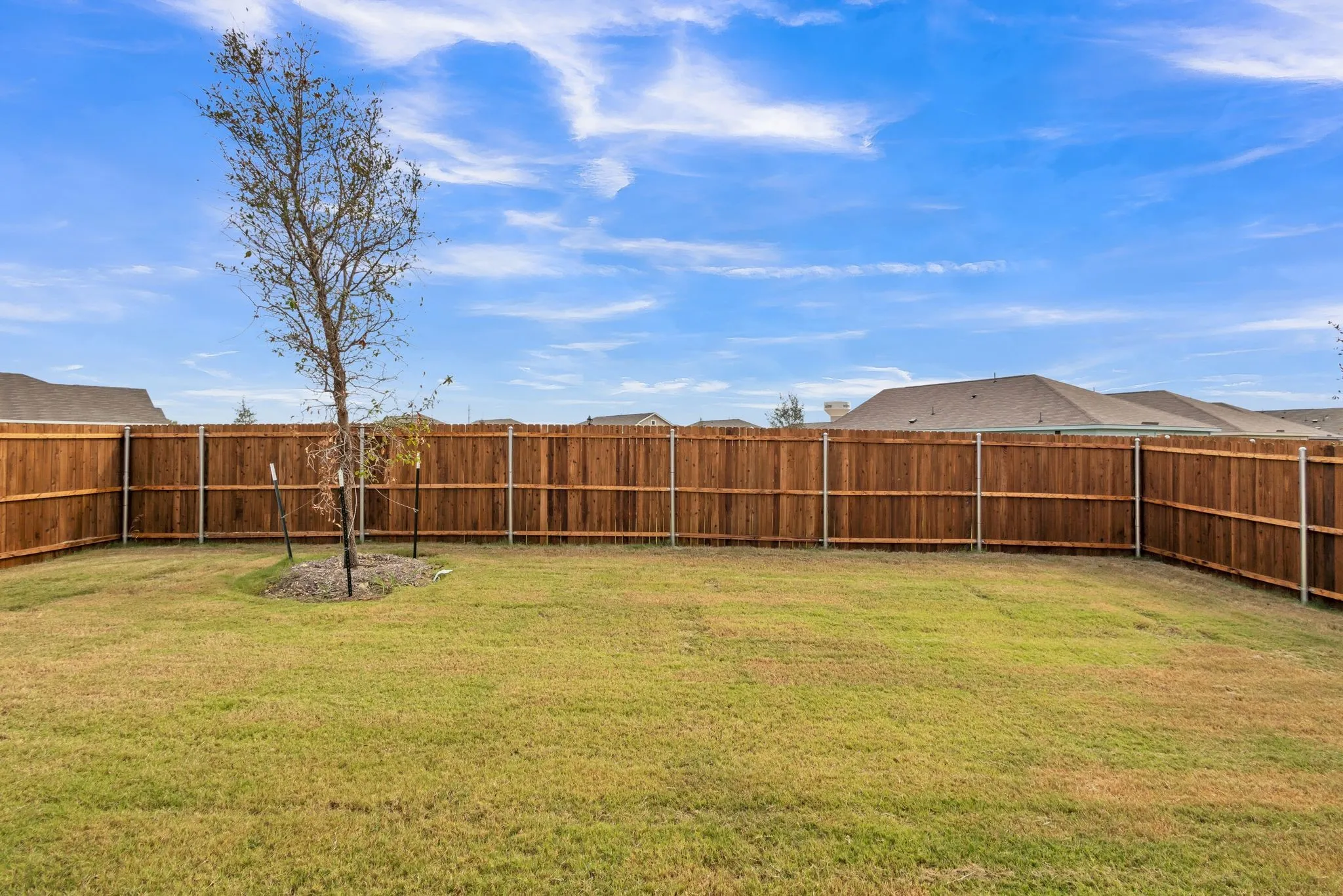 Expansive grass lawn with a new privacy fence
