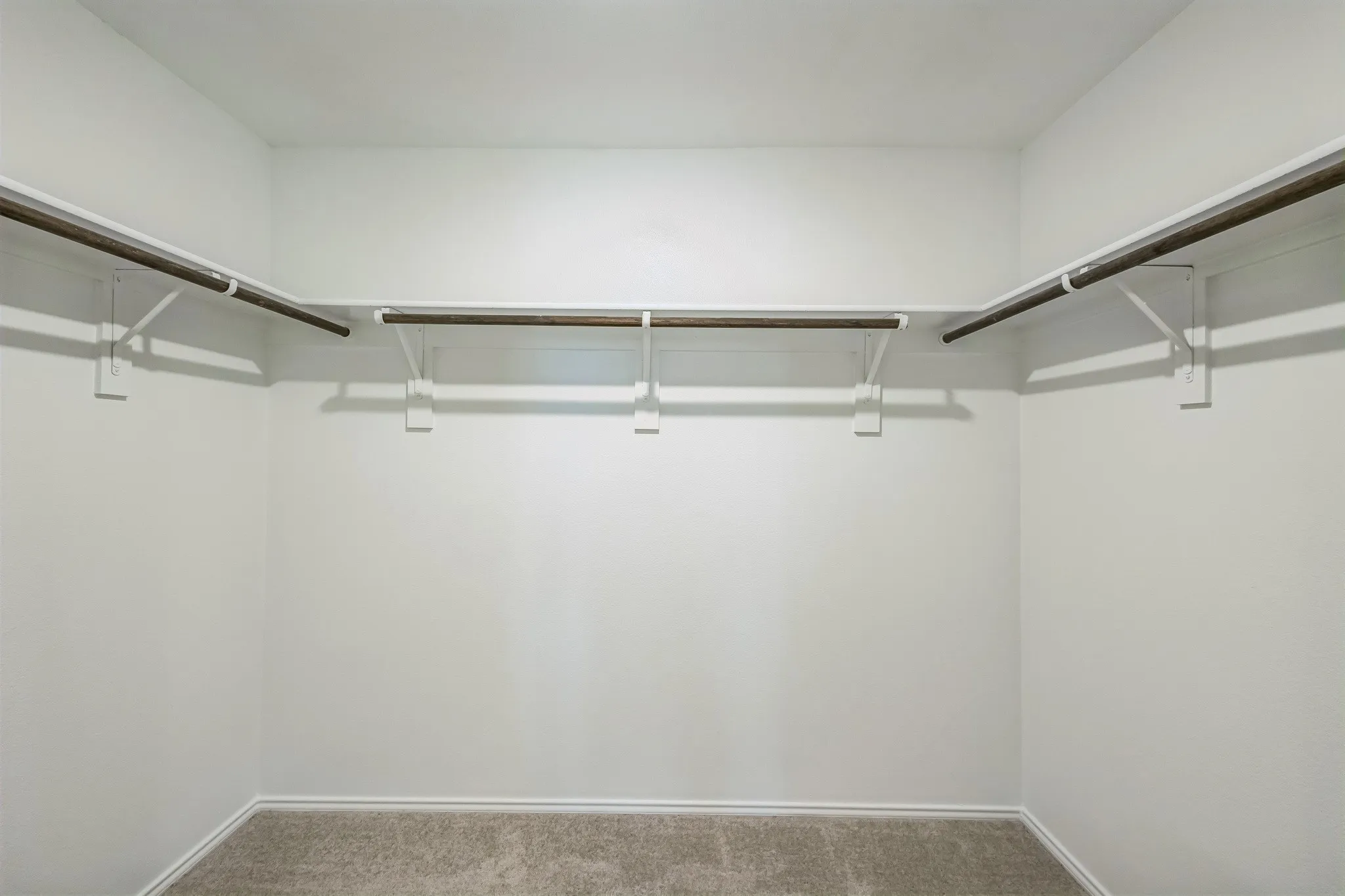 Integrated shelving and closet rods, light-toned carpeting, and painted walls