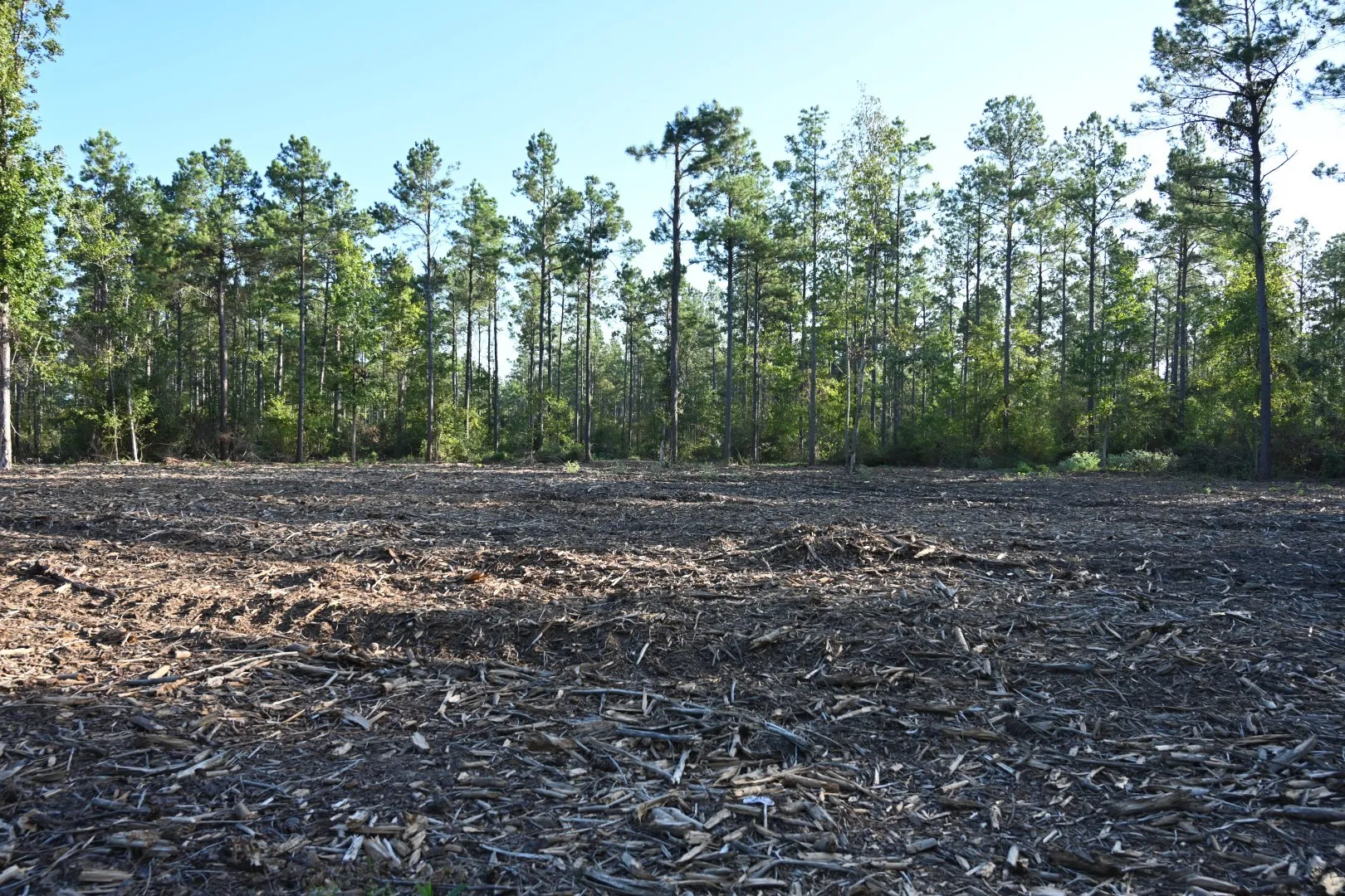 Unimproved Land For Sale in Shelby County , TBD Farm to Market 3343, Joaquin, Texas 75954, 0, 0, Garage spaces, 0 Sqft, built in 0, mls#21387945, Real Estate Agent in Joaquin, Homes For Sale in Shelby county, Homes For Sale in Joaquin, Realtor in Joaquin Texas, Real Estate Brokerage Independent Realty Texas, Luminita Cordes Realtor