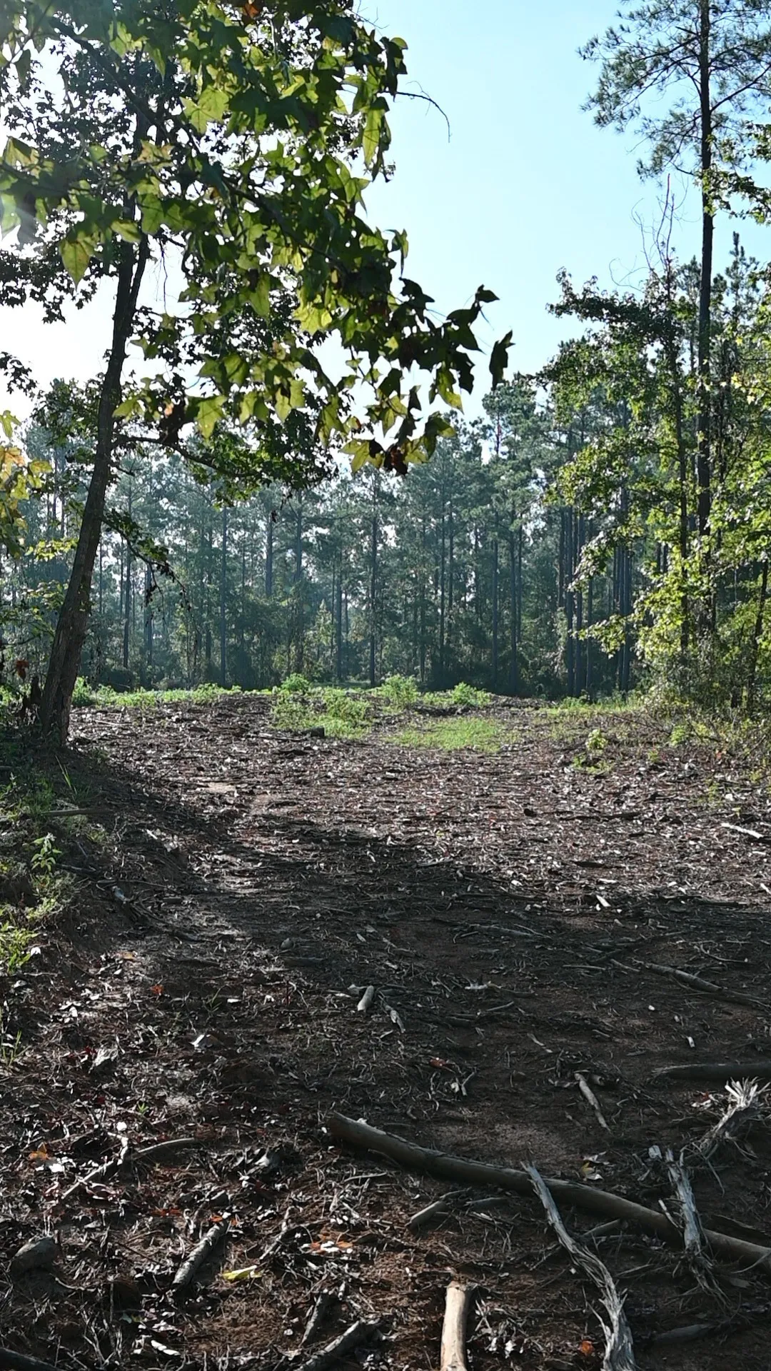 Unimproved Land For Sale in Shelby County , TBD Farm to Market 3343, Joaquin, Texas 75954, 0, 0, Garage spaces, 0 Sqft, built in 0, mls#21387945, Real Estate Agent in Joaquin, Homes For Sale in Shelby county, Homes For Sale in Joaquin, Realtor in Joaquin Texas, Real Estate Brokerage Independent Realty Texas, Luminita Cordes Realtor