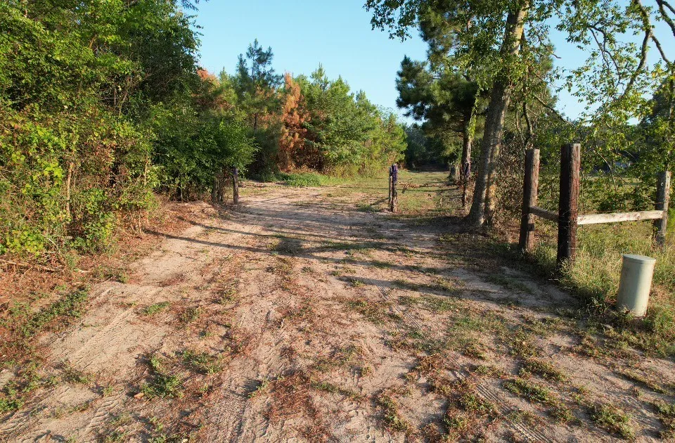 Unimproved Land For Sale in Shelby County , TBD Farm to Market 3343, Joaquin, Texas 75954, 0, 0, Garage spaces, 0 Sqft, built in 0, mls#21387945, Real Estate Agent in Joaquin, Homes For Sale in Shelby county, Homes For Sale in Joaquin, Realtor in Joaquin Texas, Real Estate Brokerage Independent Realty Texas, Luminita Cordes Realtor