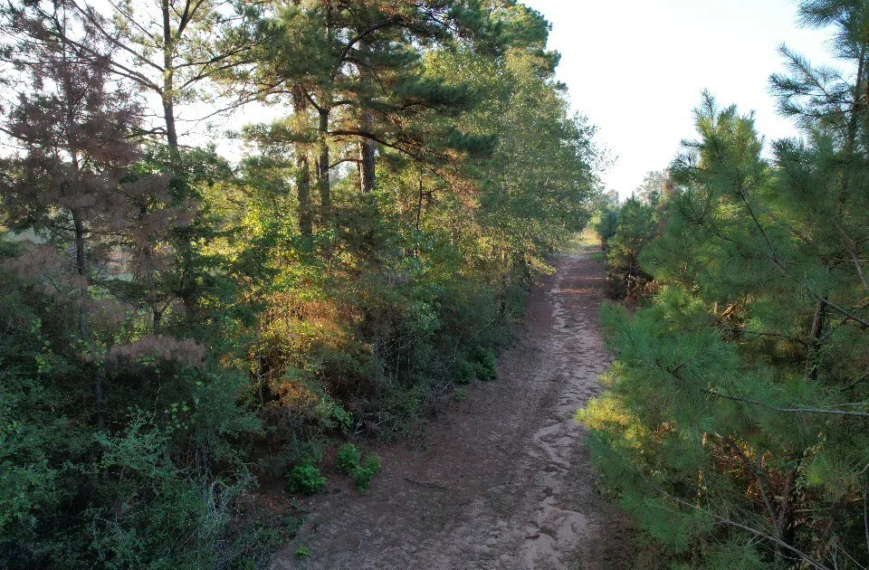 Unimproved Land For Sale in Shelby County , TBD Farm to Market 3343, Joaquin, Texas 75954, 0, 0, Garage spaces, 0 Sqft, built in 0, mls#21387945, Real Estate Agent in Joaquin, Homes For Sale in Shelby county, Homes For Sale in Joaquin, Realtor in Joaquin Texas, Real Estate Brokerage Independent Realty Texas, Luminita Cordes Realtor