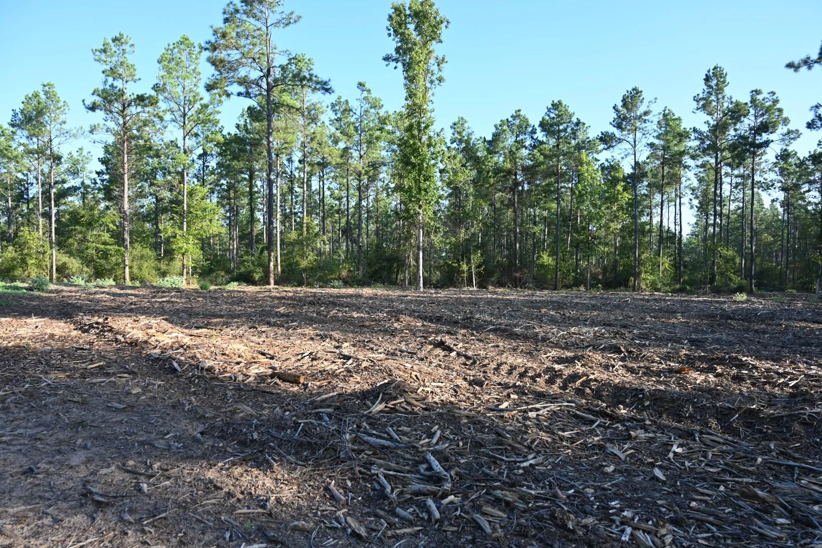 Unimproved Land For Sale in Shelby County , TBD Farm to Market 3343, Joaquin, Texas 75954, 0, 0, Garage spaces, 0 Sqft, built in 0, mls#21387945, Real Estate Agent in Joaquin, Homes For Sale in Shelby county, Homes For Sale in Joaquin, Realtor in Joaquin Texas, Real Estate Brokerage Independent Realty Texas, Luminita Cordes Realtor