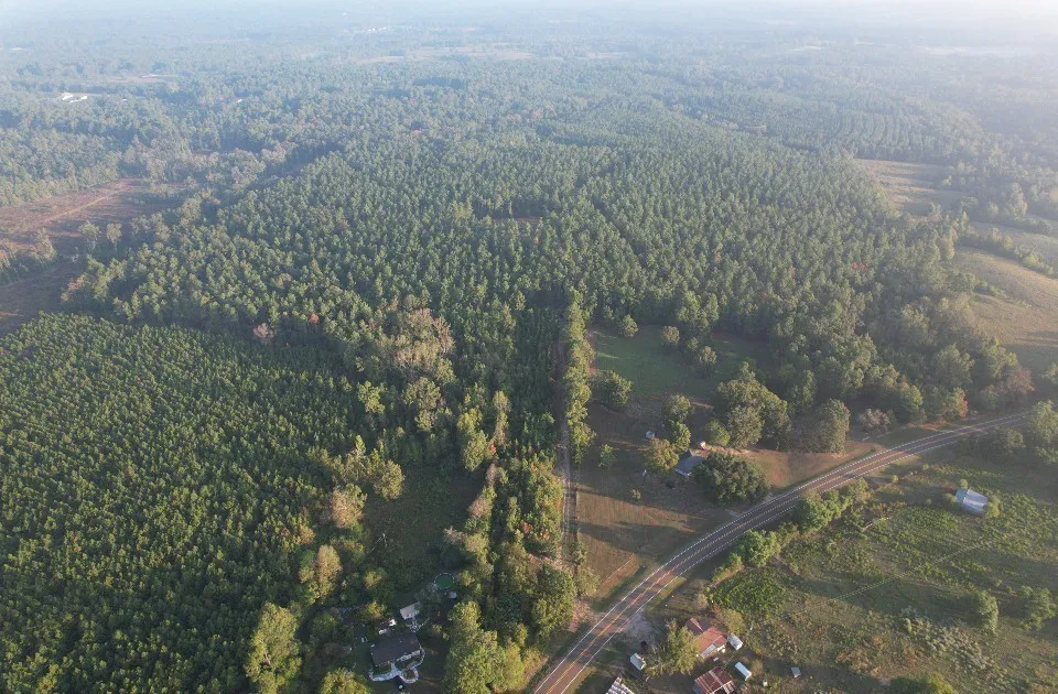 Unimproved Land For Sale in Shelby County , TBD Farm to Market 3343, Joaquin, Texas 75954, 0, 0, Garage spaces, 0 Sqft, built in 0, mls#21387945, Real Estate Agent in Joaquin, Homes For Sale in Shelby county, Homes For Sale in Joaquin, Realtor in Joaquin Texas, Real Estate Brokerage Independent Realty Texas, Luminita Cordes Realtor