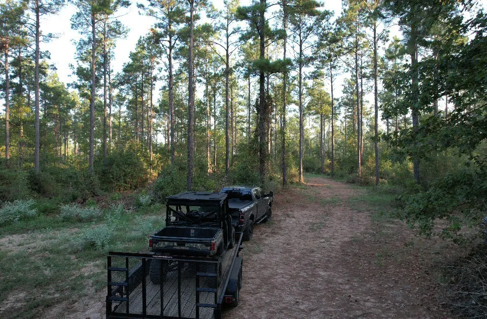 Unimproved Land For Sale in Shelby County , TBD Farm to Market 3343, Joaquin, Texas 75954, 0, 0, Garage spaces, 0 Sqft, built in 0, mls#21387945, Real Estate Agent in Joaquin, Homes For Sale in Shelby county, Homes For Sale in Joaquin, Realtor in Joaquin Texas, Real Estate Brokerage Independent Realty Texas, Luminita Cordes Realtor