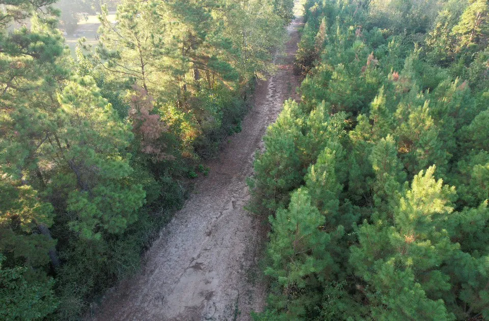 Unimproved Land For Sale in Shelby County , TBD Farm to Market 3343, Joaquin, Texas 75954, 0, 0, Garage spaces, 0 Sqft, built in 0, mls#21387945, Real Estate Agent in Joaquin, Homes For Sale in Shelby county, Homes For Sale in Joaquin, Realtor in Joaquin Texas, Real Estate Brokerage Independent Realty Texas, Luminita Cordes Realtor
