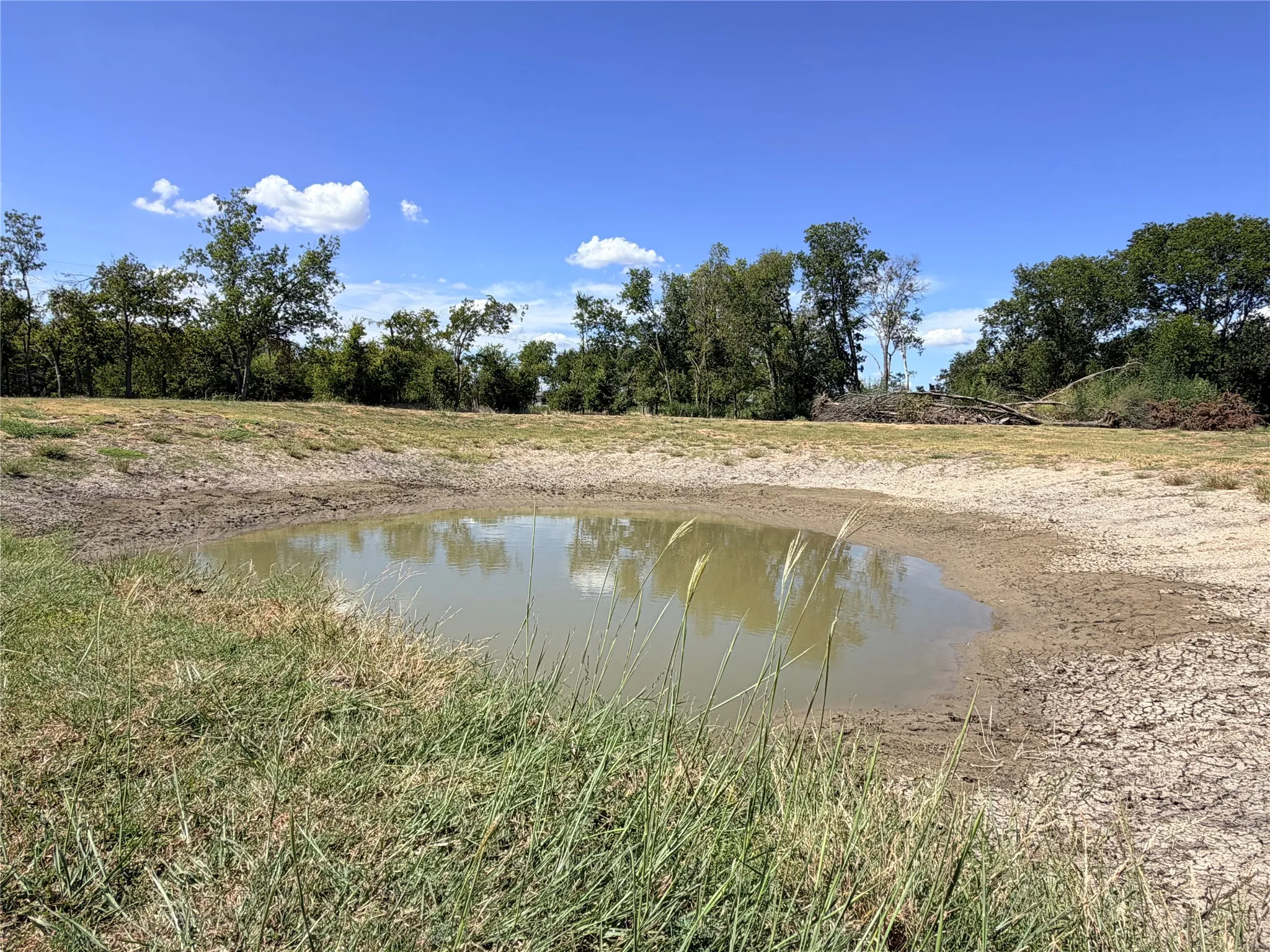 Pond