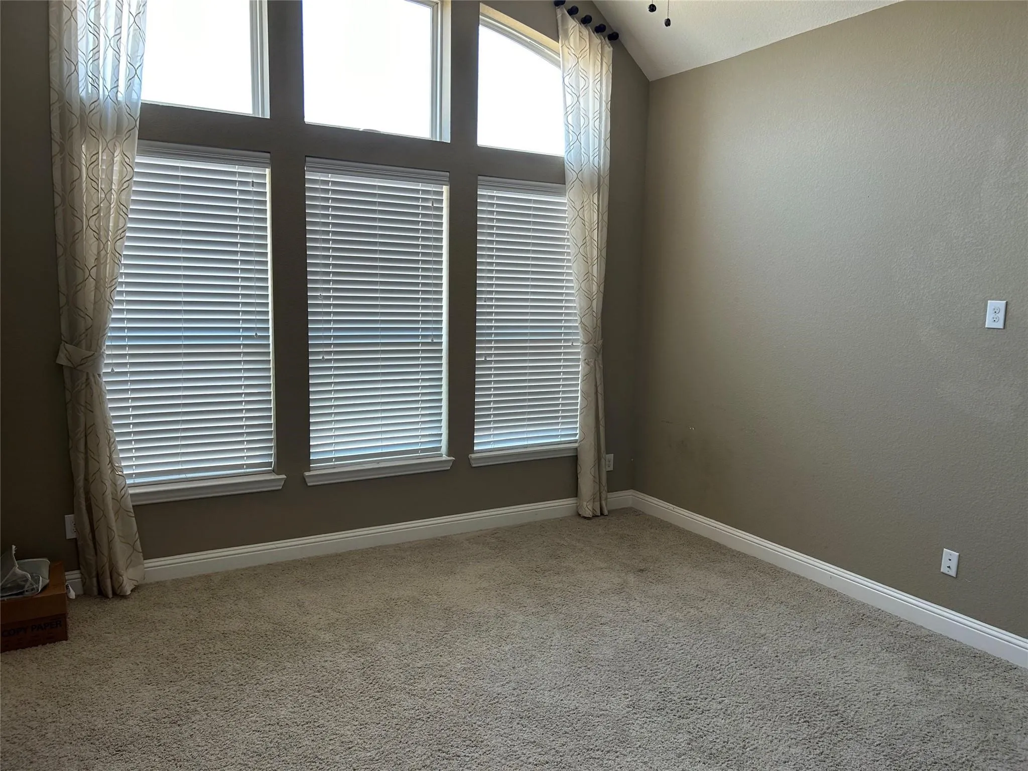 Carpeted empty room with baseboards