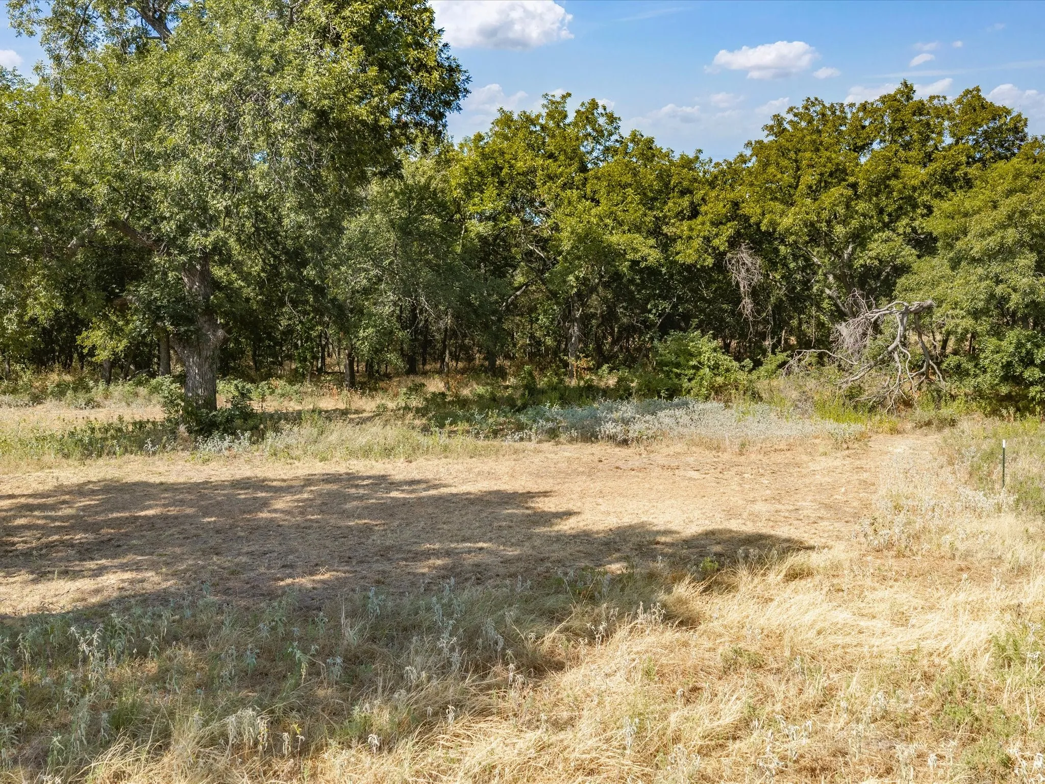 Unimproved Land For Sale in Jack County , TBD Lot 41 Grassland Lane, Chico, Texas 76458, 0, 0, Garage spaces, 0 Sqft, built in 0, mls#21386708, Real Estate Agent in Chico, Homes For Sale in Jack county, Homes For Sale in Chico, Realtor in Chico Texas, Real Estate Brokerage Independent Realty Texas, Luminita Cordes Realtor