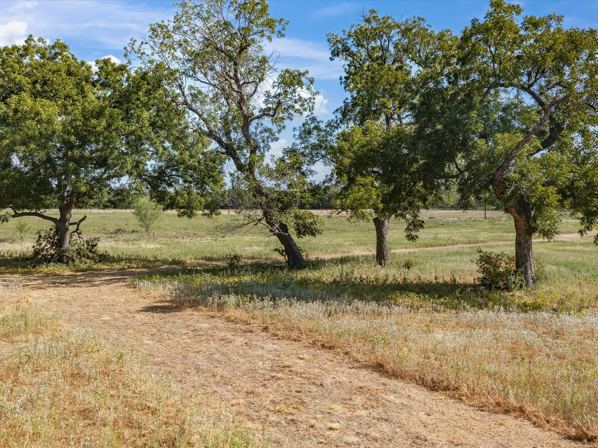 Unimproved Land For Sale in Jack County , TBD Lot 41 Grassland Lane, Chico, Texas 76458, 0, 0, Garage spaces, 0 Sqft, built in 0, mls#21386708, Real Estate Agent in Chico, Homes For Sale in Jack county, Homes For Sale in Chico, Realtor in Chico Texas, Real Estate Brokerage Independent Realty Texas, Luminita Cordes Realtor