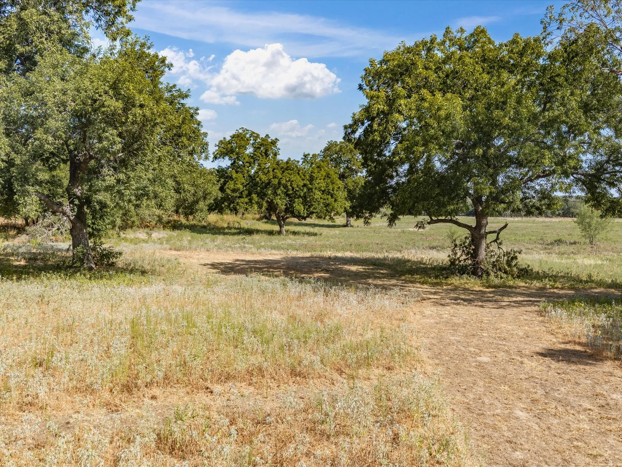 Unimproved Land For Sale in Jack County , TBD Lot 41 Grassland Lane, Chico, Texas 76458, 0, 0, Garage spaces, 0 Sqft, built in 0, mls#21386708, Real Estate Agent in Chico, Homes For Sale in Jack county, Homes For Sale in Chico, Realtor in Chico Texas, Real Estate Brokerage Independent Realty Texas, Luminita Cordes Realtor