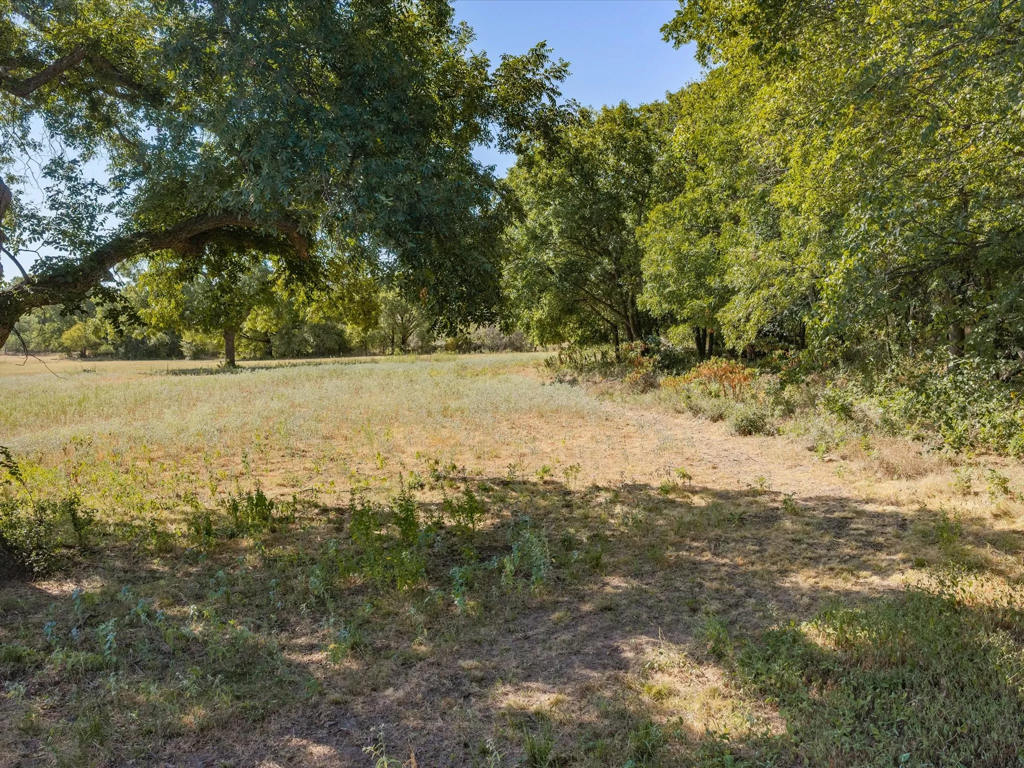 Unimproved Land For Sale in Jack County , TBD Lot 41 Grassland Lane, Chico, Texas 76458, 0, 0, Garage spaces, 0 Sqft, built in 0, mls#21386708, Real Estate Agent in Chico, Homes For Sale in Jack county, Homes For Sale in Chico, Realtor in Chico Texas, Real Estate Brokerage Independent Realty Texas, Luminita Cordes Realtor