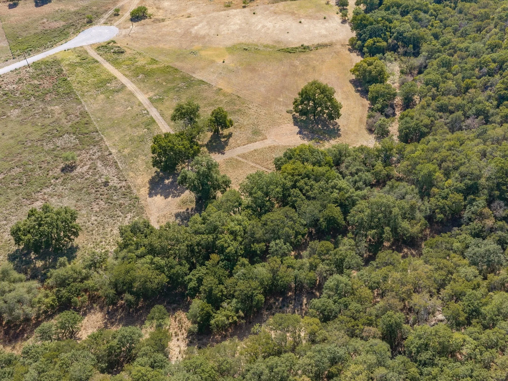 Unimproved Land For Sale in Jack County , TBD Lot 41 Grassland Lane, Chico, Texas 76458, 0, 0, Garage spaces, 0 Sqft, built in 0, mls#21386708, Real Estate Agent in Chico, Homes For Sale in Jack county, Homes For Sale in Chico, Realtor in Chico Texas, Real Estate Brokerage Independent Realty Texas, Luminita Cordes Realtor