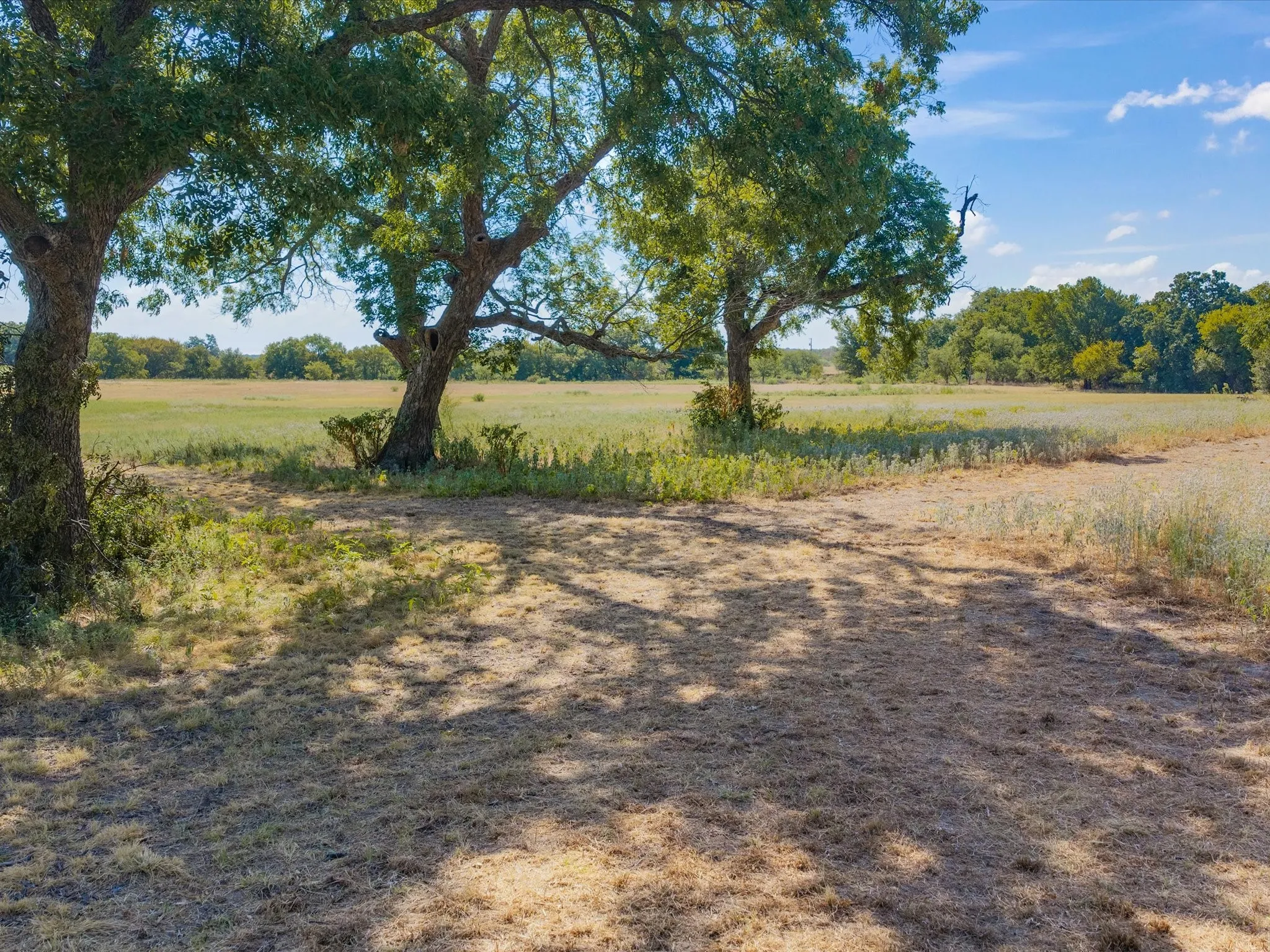 Unimproved Land For Sale in Jack County , TBD Lot 41 Grassland Lane, Chico, Texas 76458, 0, 0, Garage spaces, 0 Sqft, built in 0, mls#21386708, Real Estate Agent in Chico, Homes For Sale in Jack county, Homes For Sale in Chico, Realtor in Chico Texas, Real Estate Brokerage Independent Realty Texas, Luminita Cordes Realtor