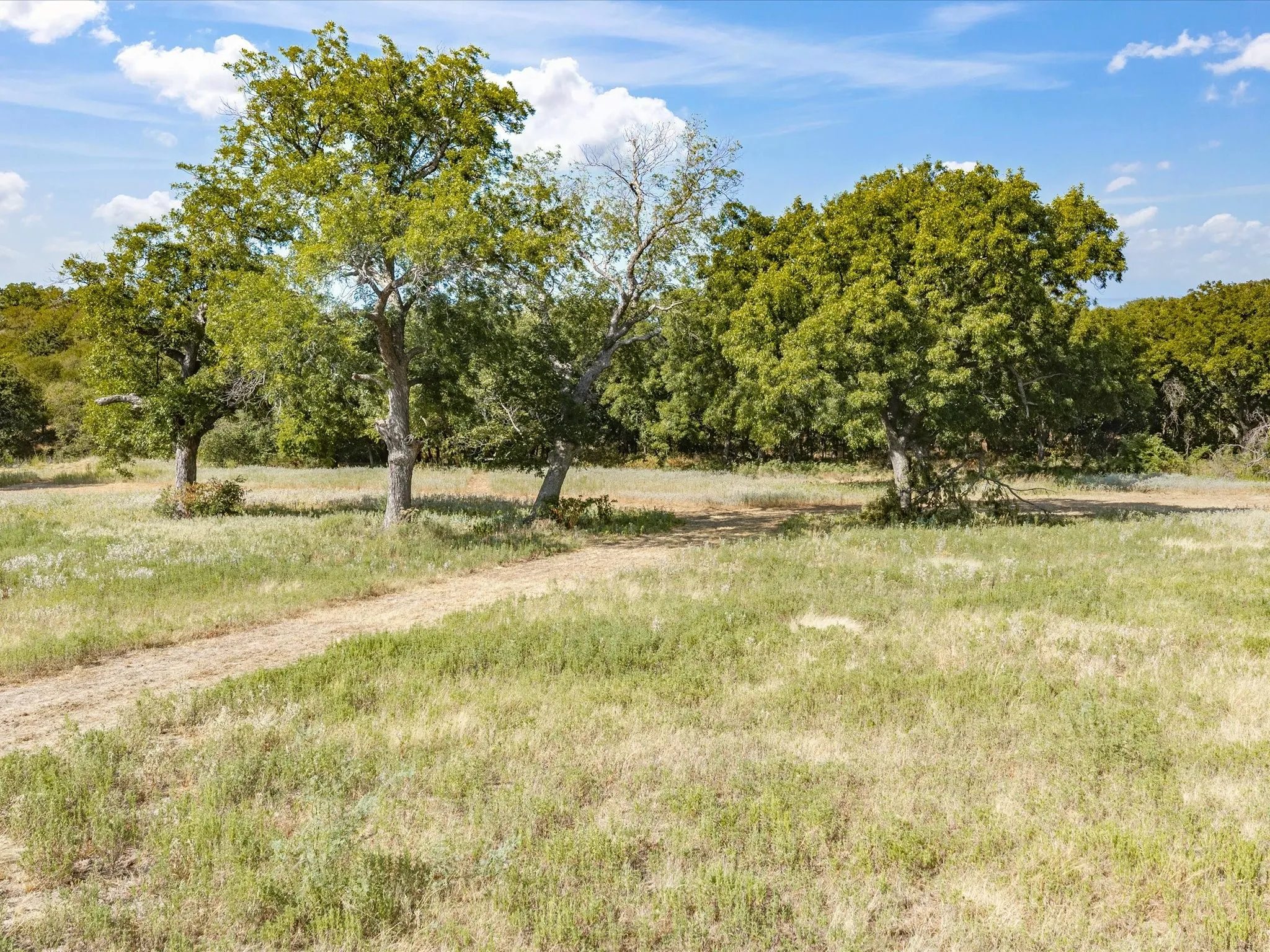 Unimproved Land For Sale in Jack County , TBD Lot 41 Grassland Lane, Chico, Texas 76458, 0, 0, Garage spaces, 0 Sqft, built in 0, mls#21386708, Real Estate Agent in Chico, Homes For Sale in Jack county, Homes For Sale in Chico, Realtor in Chico Texas, Real Estate Brokerage Independent Realty Texas, Luminita Cordes Realtor