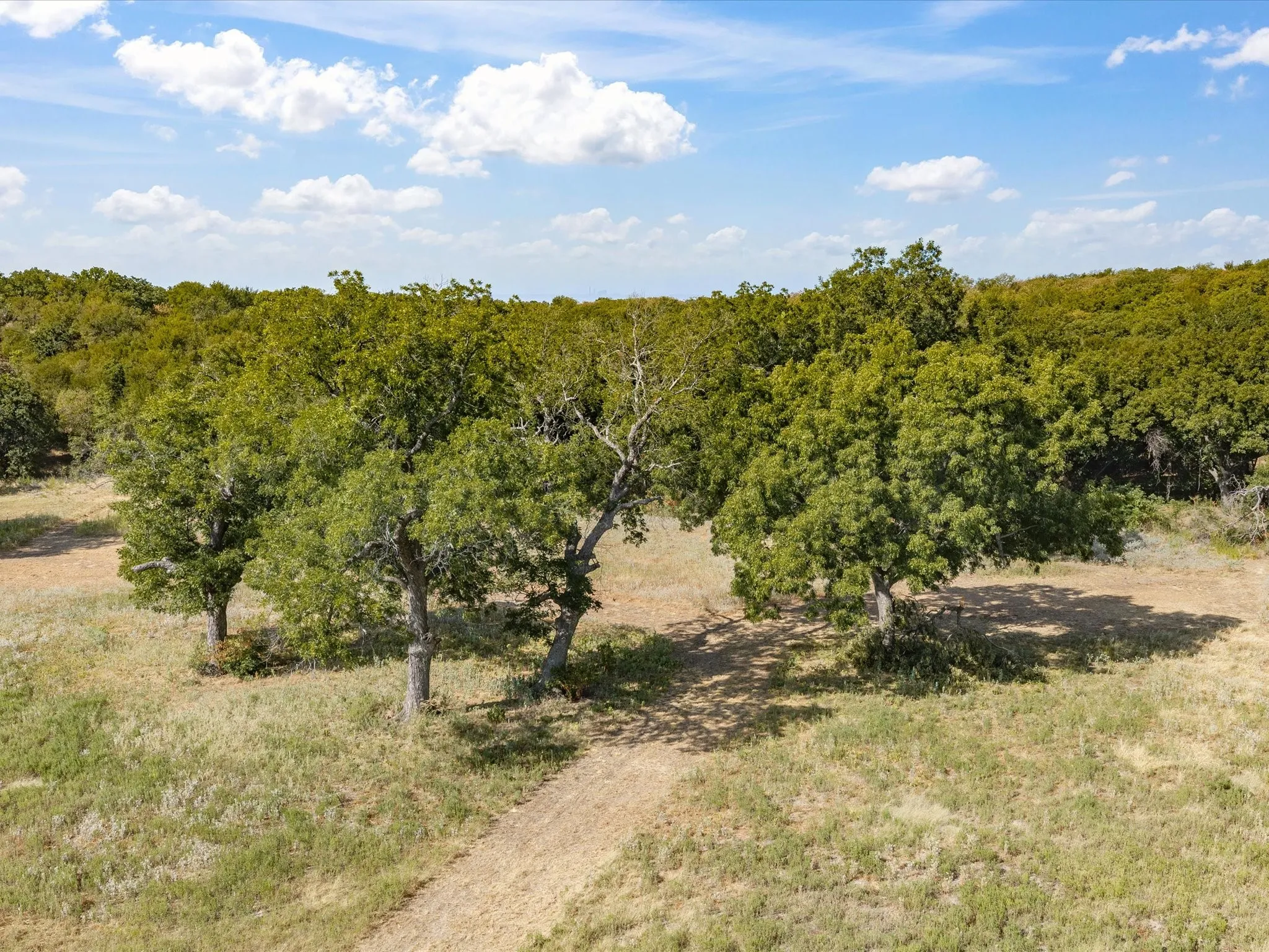 Unimproved Land For Sale in Jack County , TBD Lot 41 Grassland Lane, Chico, Texas 76458, 0, 0, Garage spaces, 0 Sqft, built in 0, mls#21386708, Real Estate Agent in Chico, Homes For Sale in Jack county, Homes For Sale in Chico, Realtor in Chico Texas, Real Estate Brokerage Independent Realty Texas, Luminita Cordes Realtor
