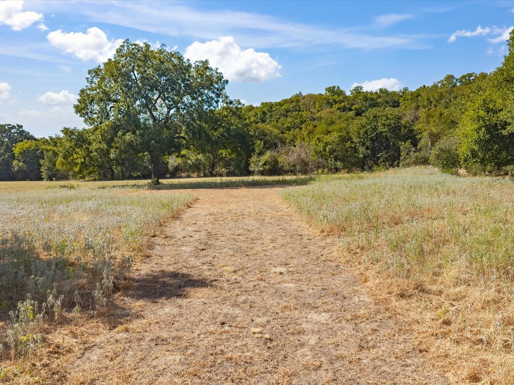 Unimproved Land For Sale in Jack County , TBD Lot 41 Grassland Lane, Chico, Texas 76458, 0, 0, Garage spaces, 0 Sqft, built in 0, mls#21386708, Real Estate Agent in Chico, Homes For Sale in Jack county, Homes For Sale in Chico, Realtor in Chico Texas, Real Estate Brokerage Independent Realty Texas, Luminita Cordes Realtor