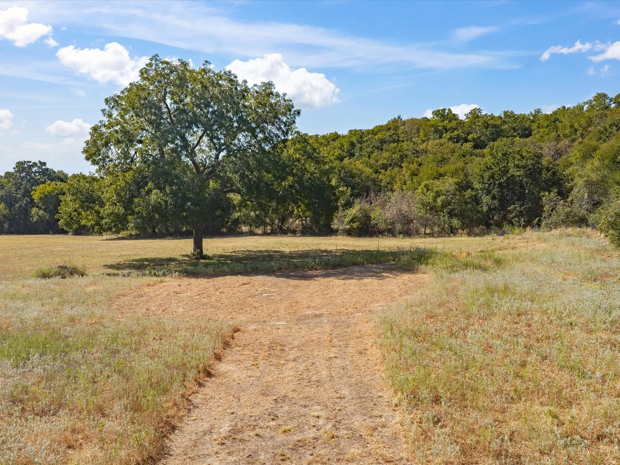 Unimproved Land For Sale in Jack County , TBD Lot 41 Grassland Lane, Chico, Texas 76458, 0, 0, Garage spaces, 0 Sqft, built in 0, mls#21386708, Real Estate Agent in Chico, Homes For Sale in Jack county, Homes For Sale in Chico, Realtor in Chico Texas, Real Estate Brokerage Independent Realty Texas, Luminita Cordes Realtor