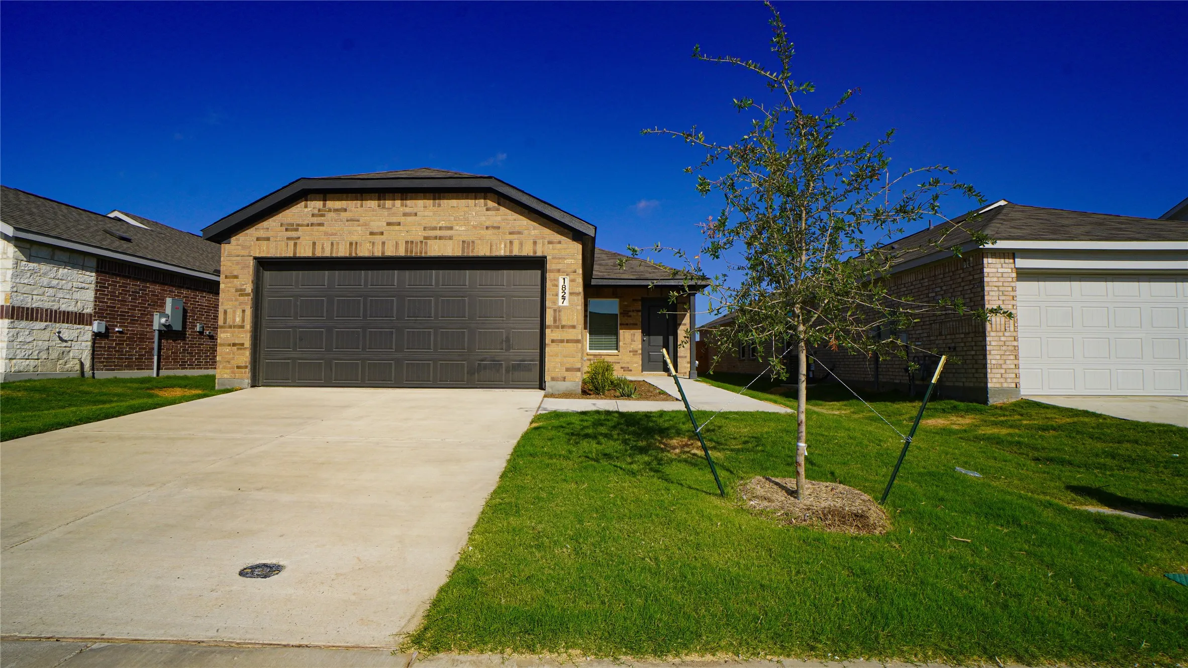 Single Family Residence For Rent in Kaufman County , 1827 Sanderling Street, Forney, Texas 75126, 3 Bedroom, 2 Bathroom, 2 Garage spaces, 1,461 Sqft, built in 2025, mls#21387552, Real Estate Agent in Forney, Homes For Rent in Kaufman county, Homes For Rent in Forney, Realtor in Forney Texas, Real Estate Brokerage Independent Realty Texas, Luminita Cordes Realtor