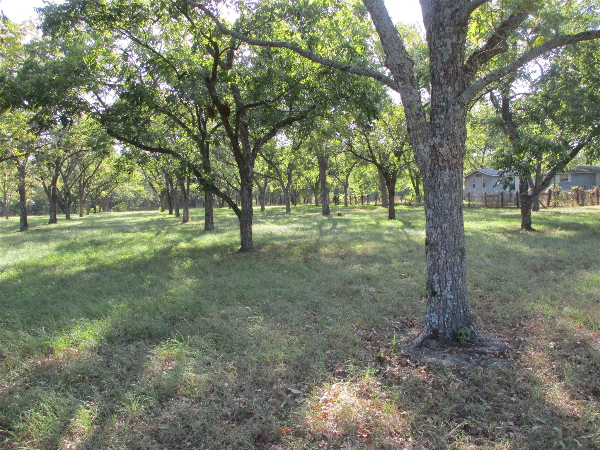 Unimproved Land For Sale in Rains County , 160 Rains County Road 2181, Emory, Texas 75440, 0, 0, Garage spaces, 0 Sqft, built in 0, mls#21388023, Real Estate Agent in Emory, Homes For Sale in Rains county, Homes For Sale in Emory, Realtor in Emory Texas, Real Estate Brokerage Independent Realty Texas, Luminita Cordes Realtor